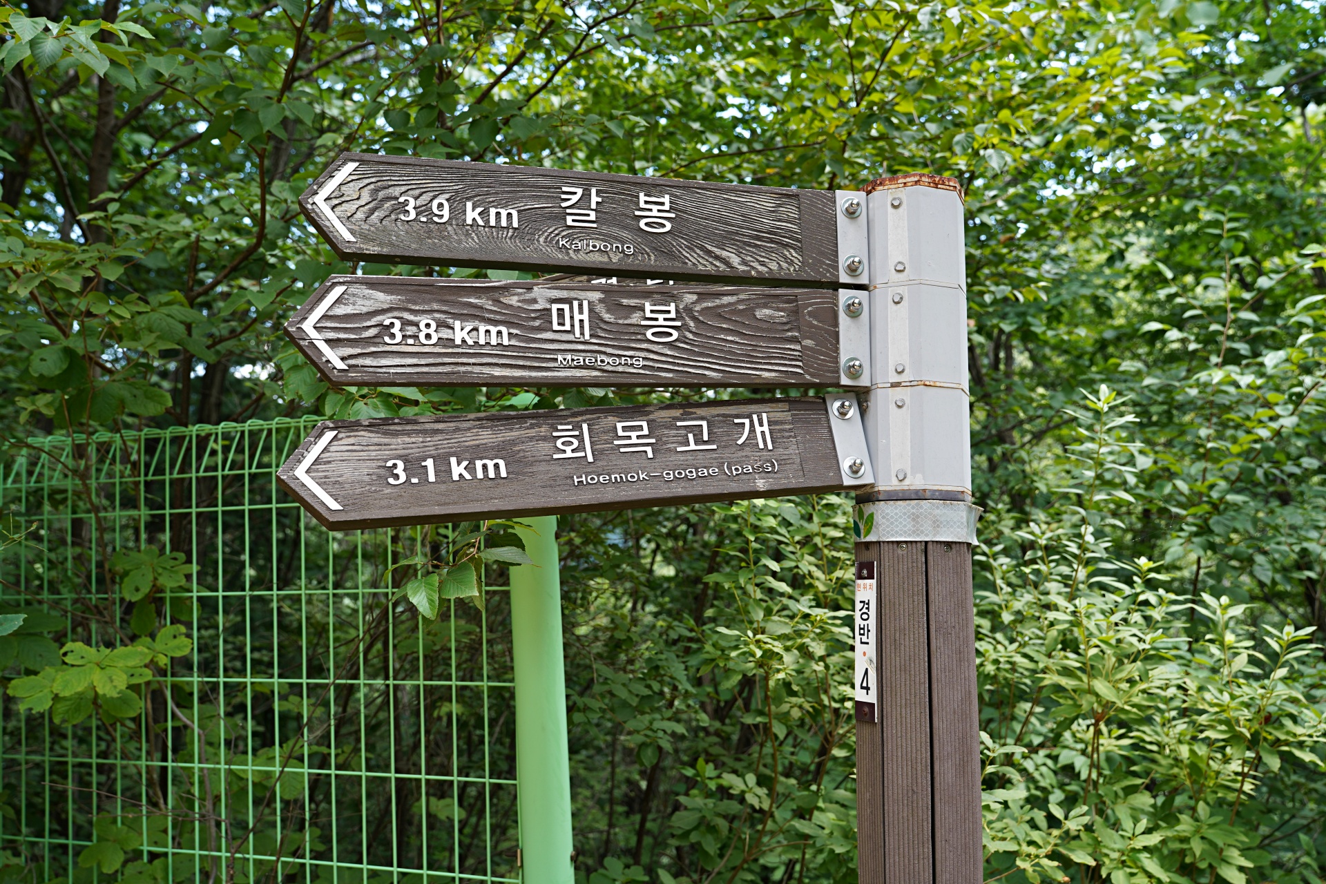 b-S260807-125058.jpg