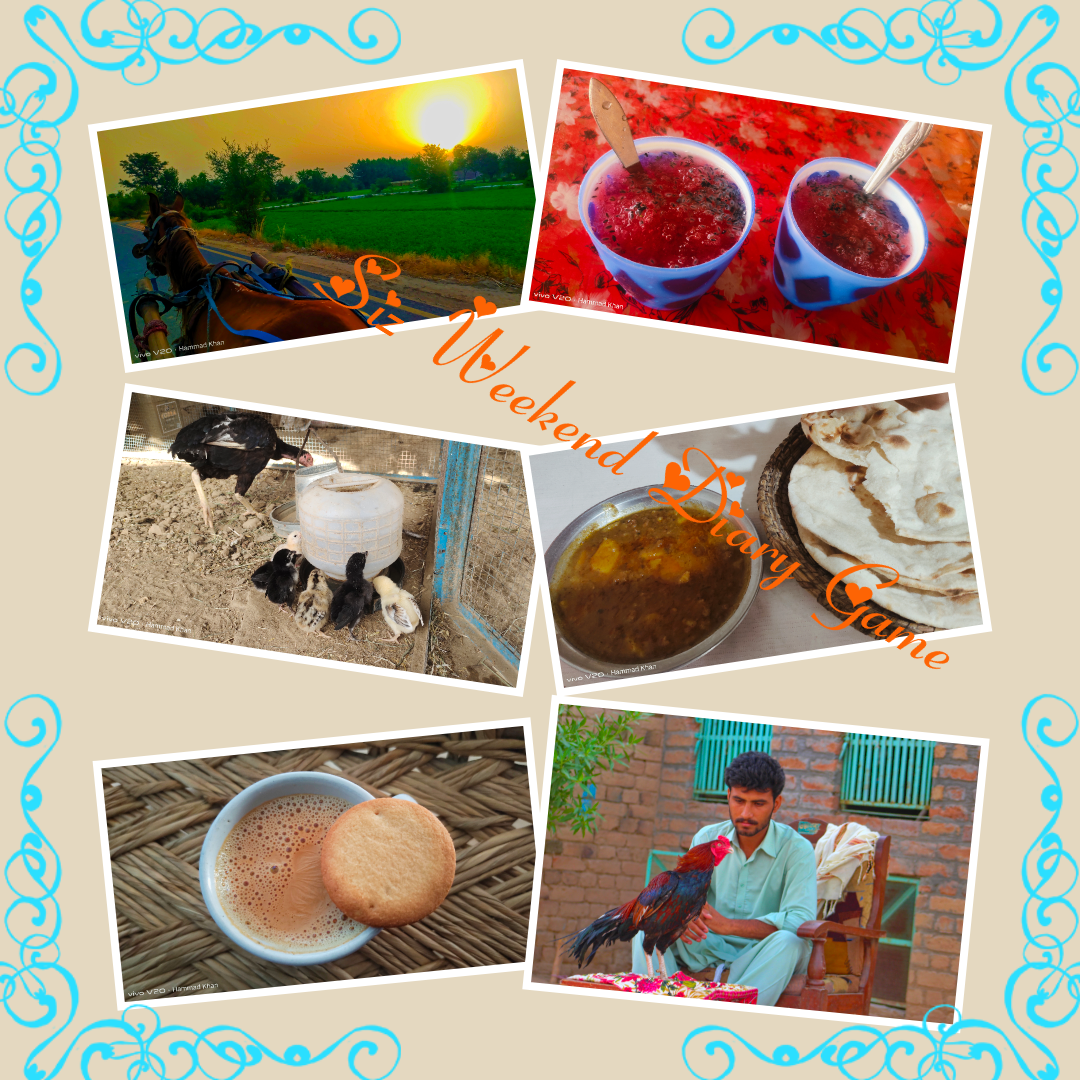 photogrid.collagemaker.photocollage.squarefit_2022529201043171.png