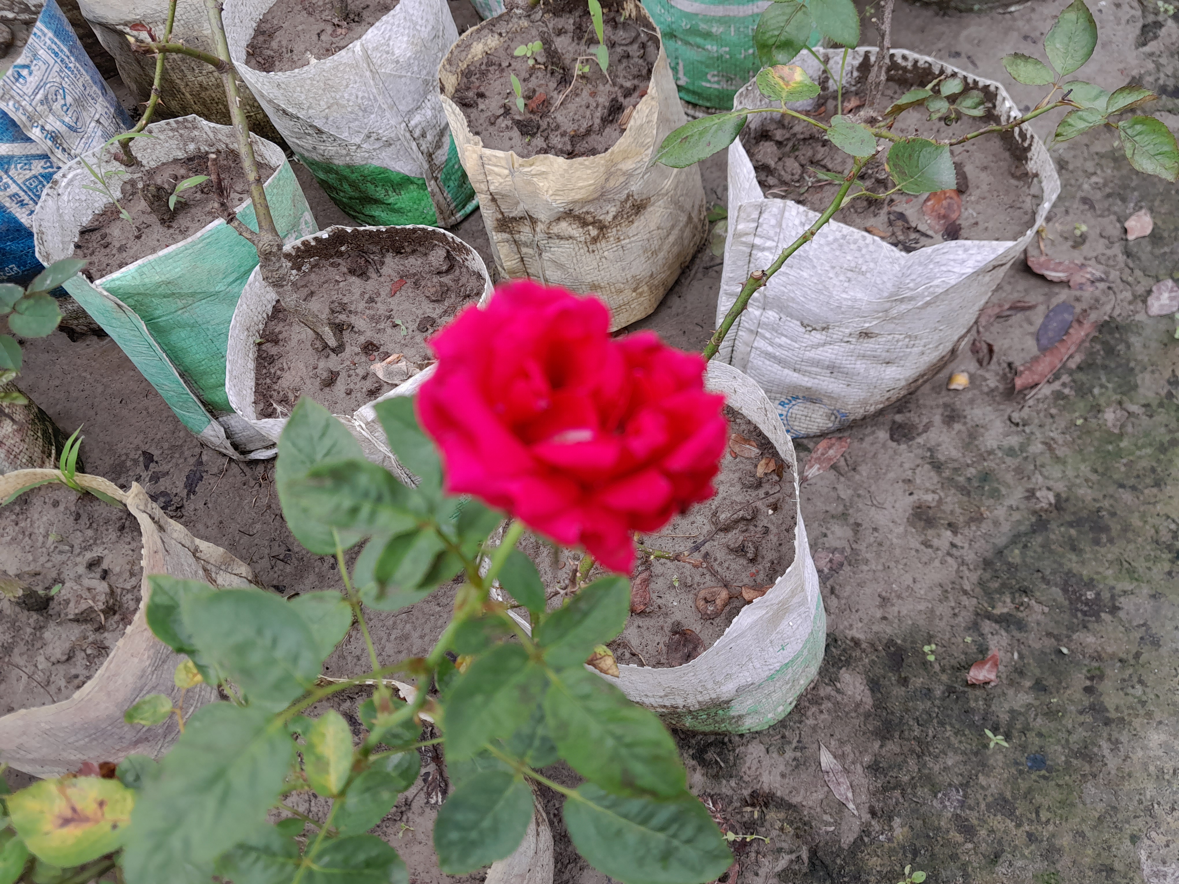 20230912_110230.jpg