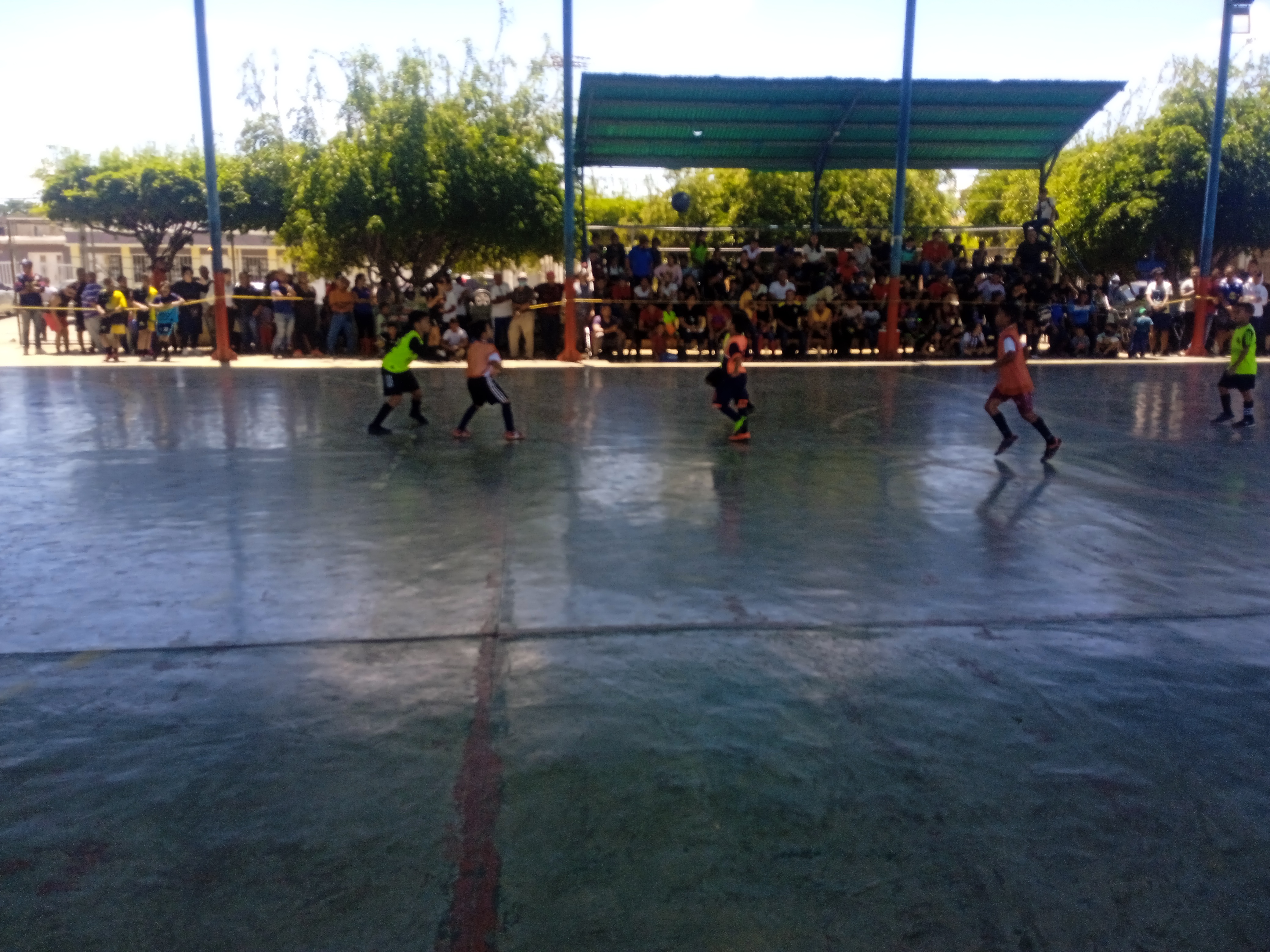 IMG_20220528_115425.jpg