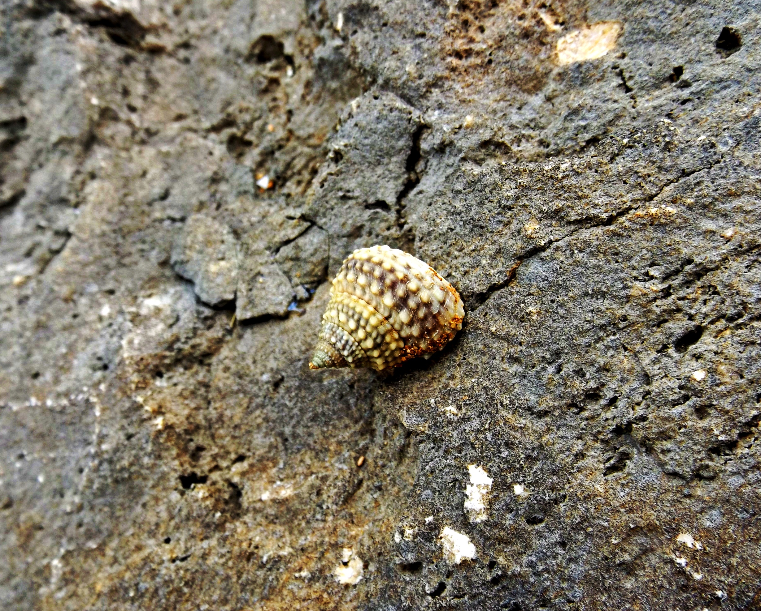 DSCF3588.JPG