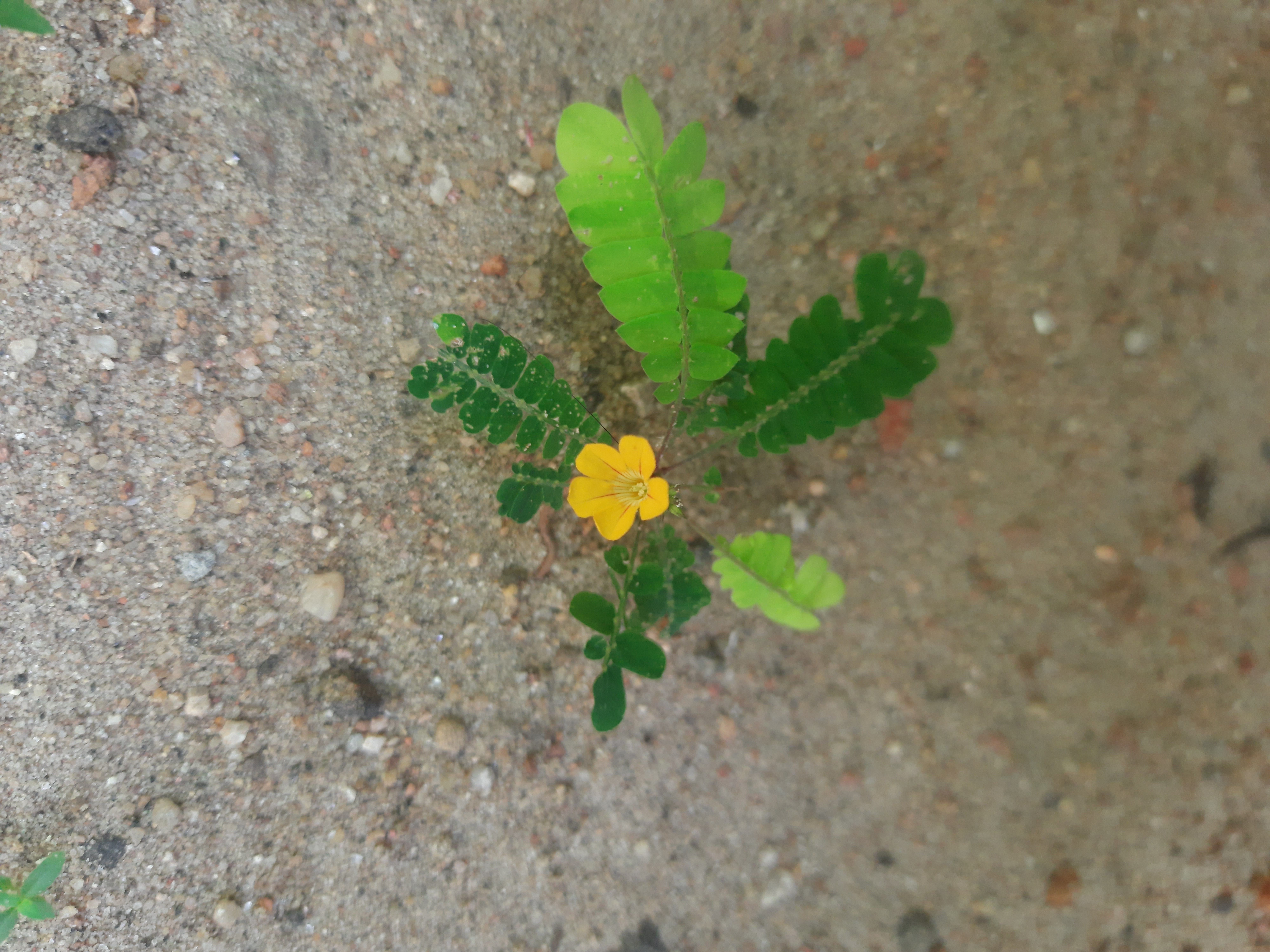 20200901_103022.jpg