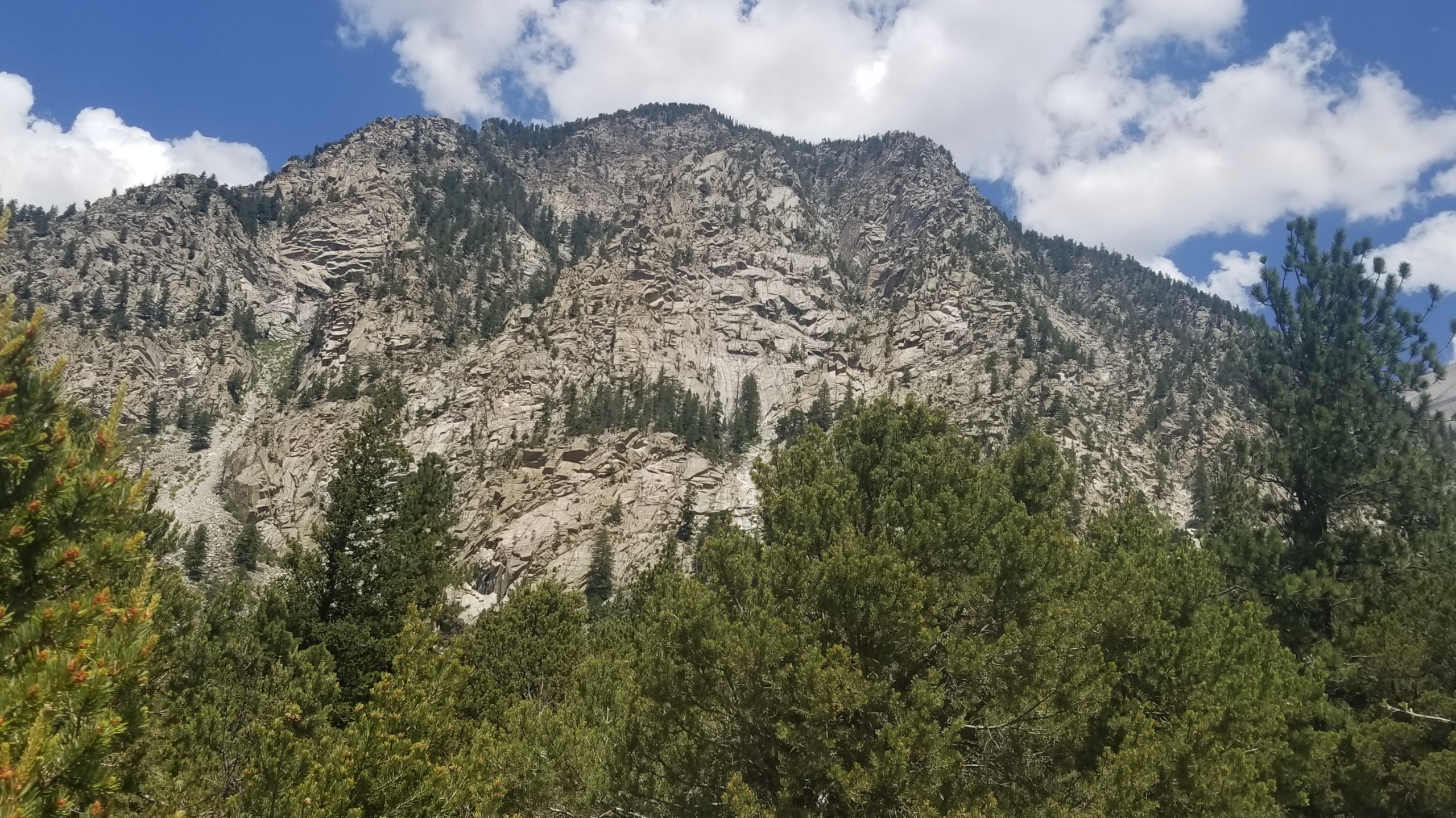 20180710_113932.jpg