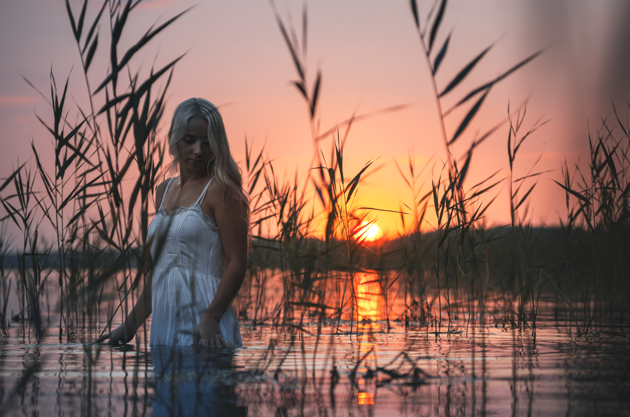 0010FOTO5600-EditaaaJuly 17, 2018.jpg