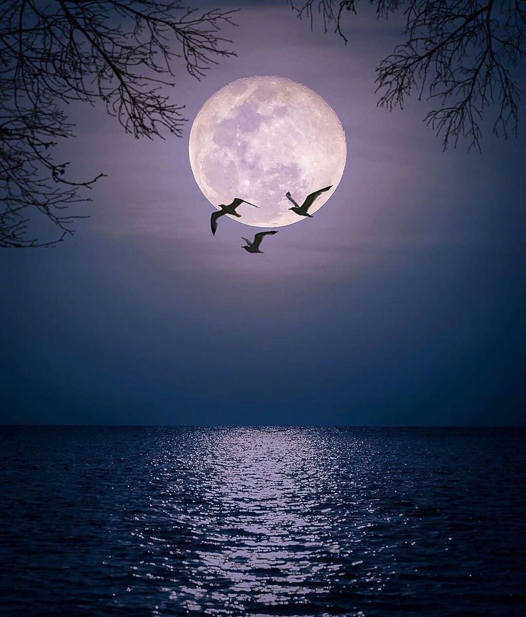 landscape_nightscape_160494496533969.jpg