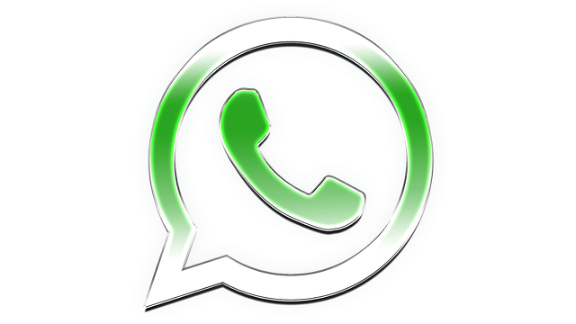 Download Logo Whatsapp Png Branco Fundo Transparente Gif