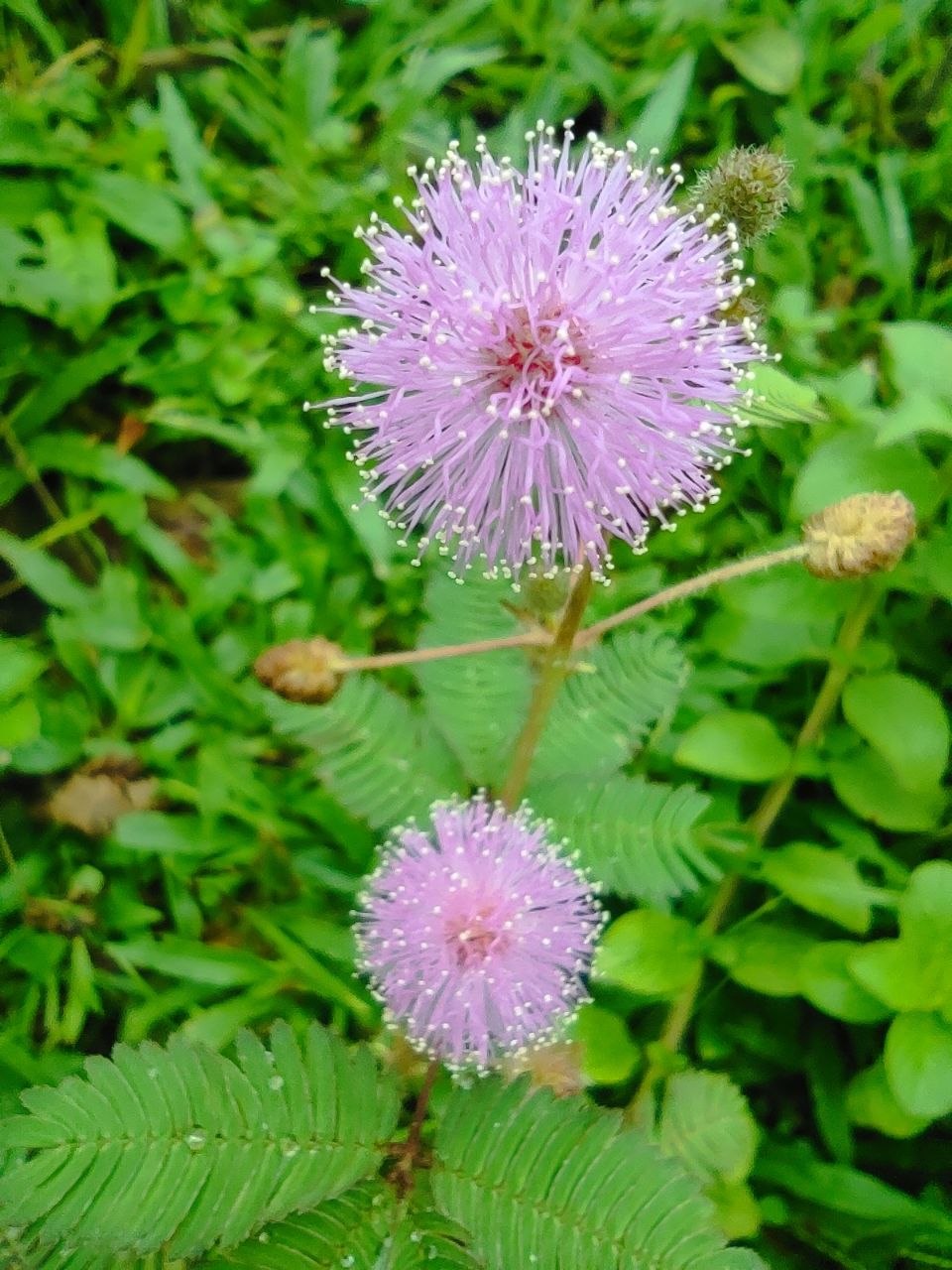 94ca65bf-2bb2-4a00-a4ec-4cddbf74997a.jpg