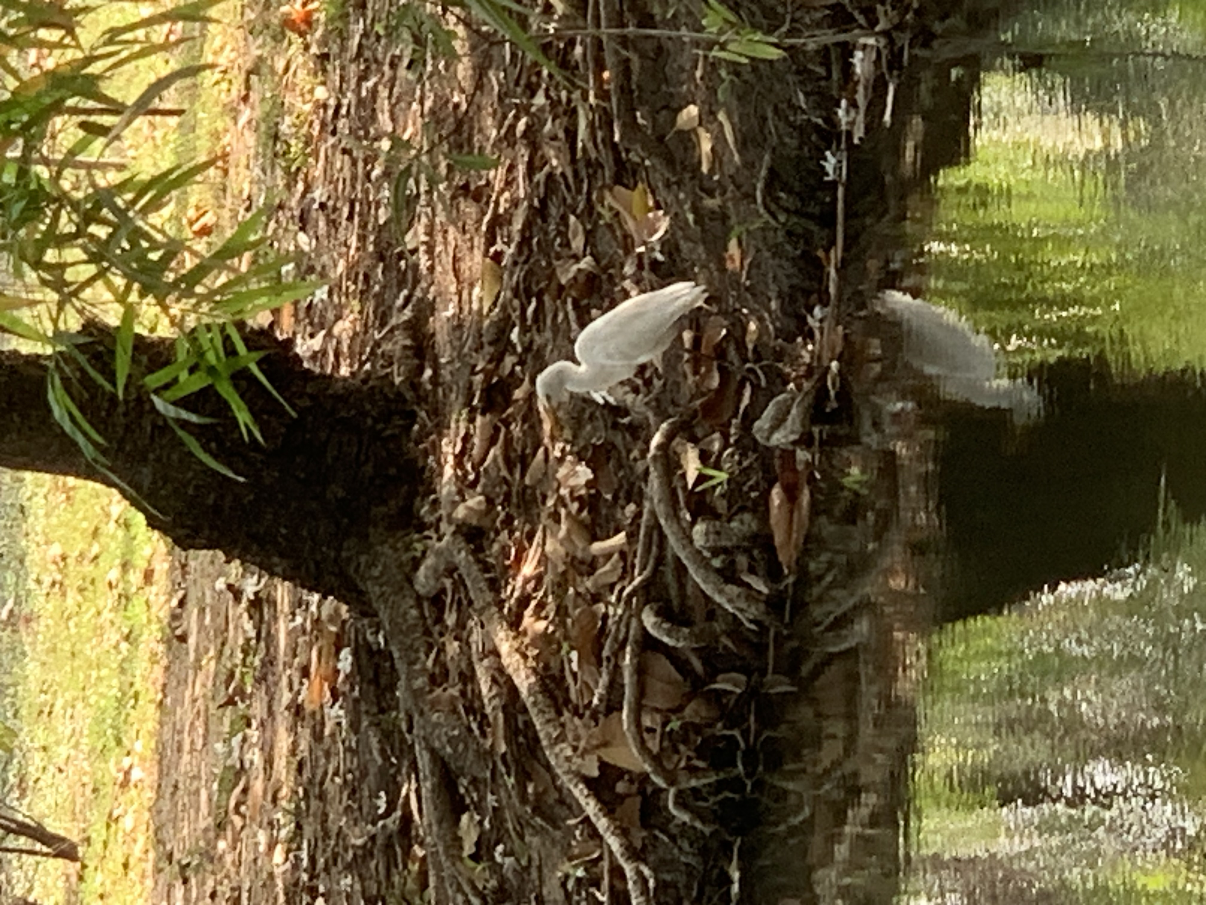 birdwatching spots3.jpg