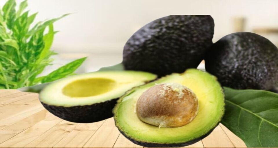 Avocado-10 Best Foods for Diabetes.jpg