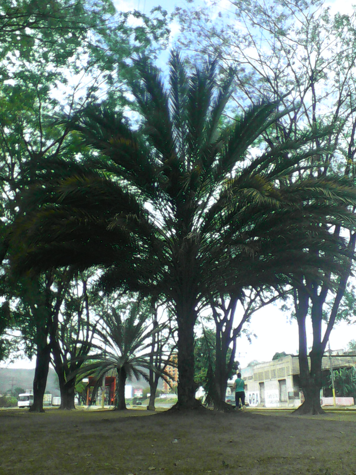 IMG_20210401_093902.jpg