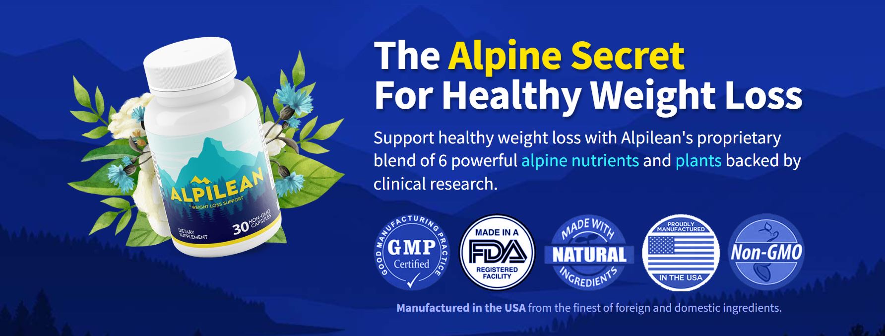 alpine.JPG