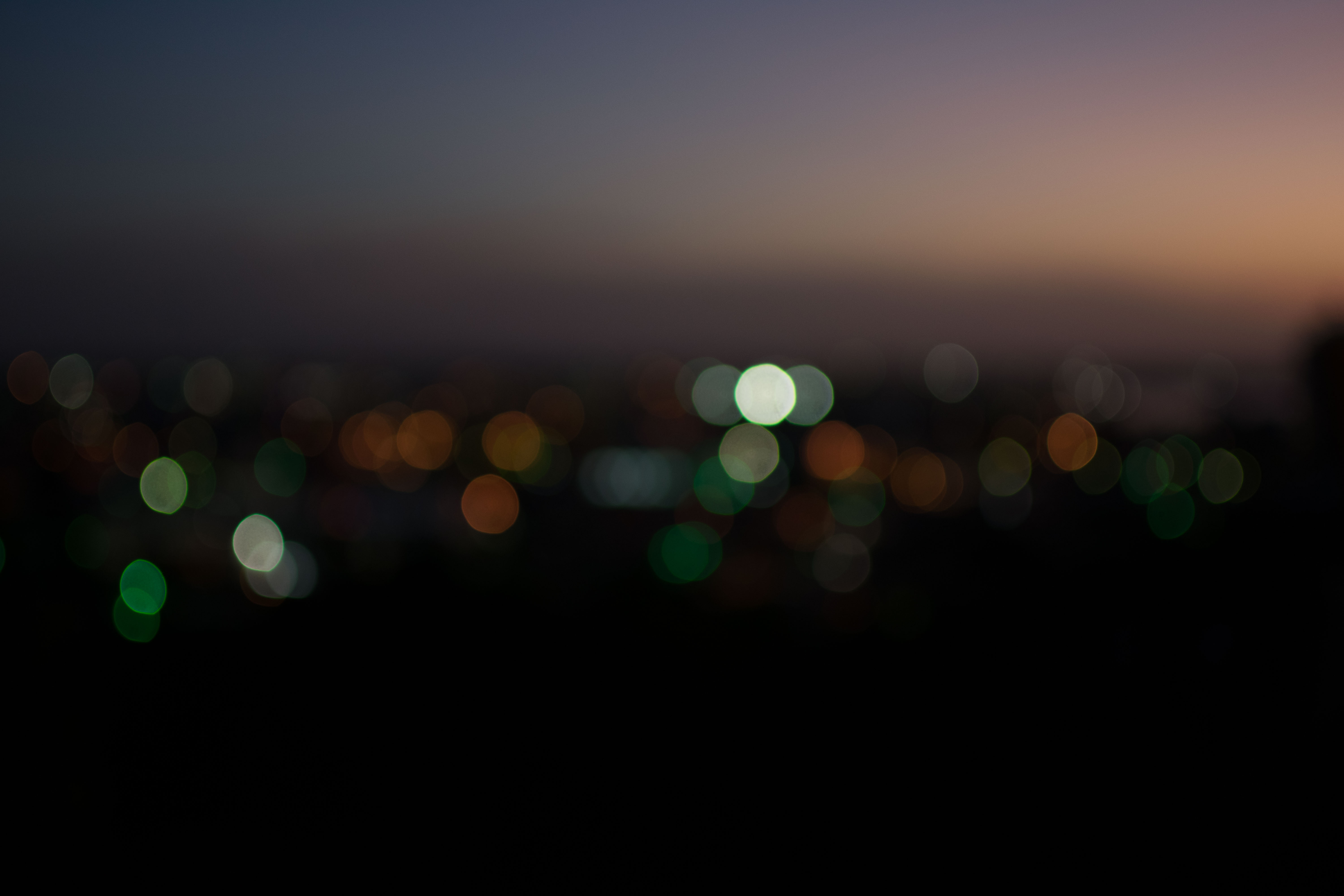 DSC_0241.jpg