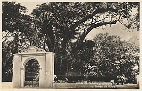 280px-Postal_del_Monumento_Samán_de_Güere.jpg