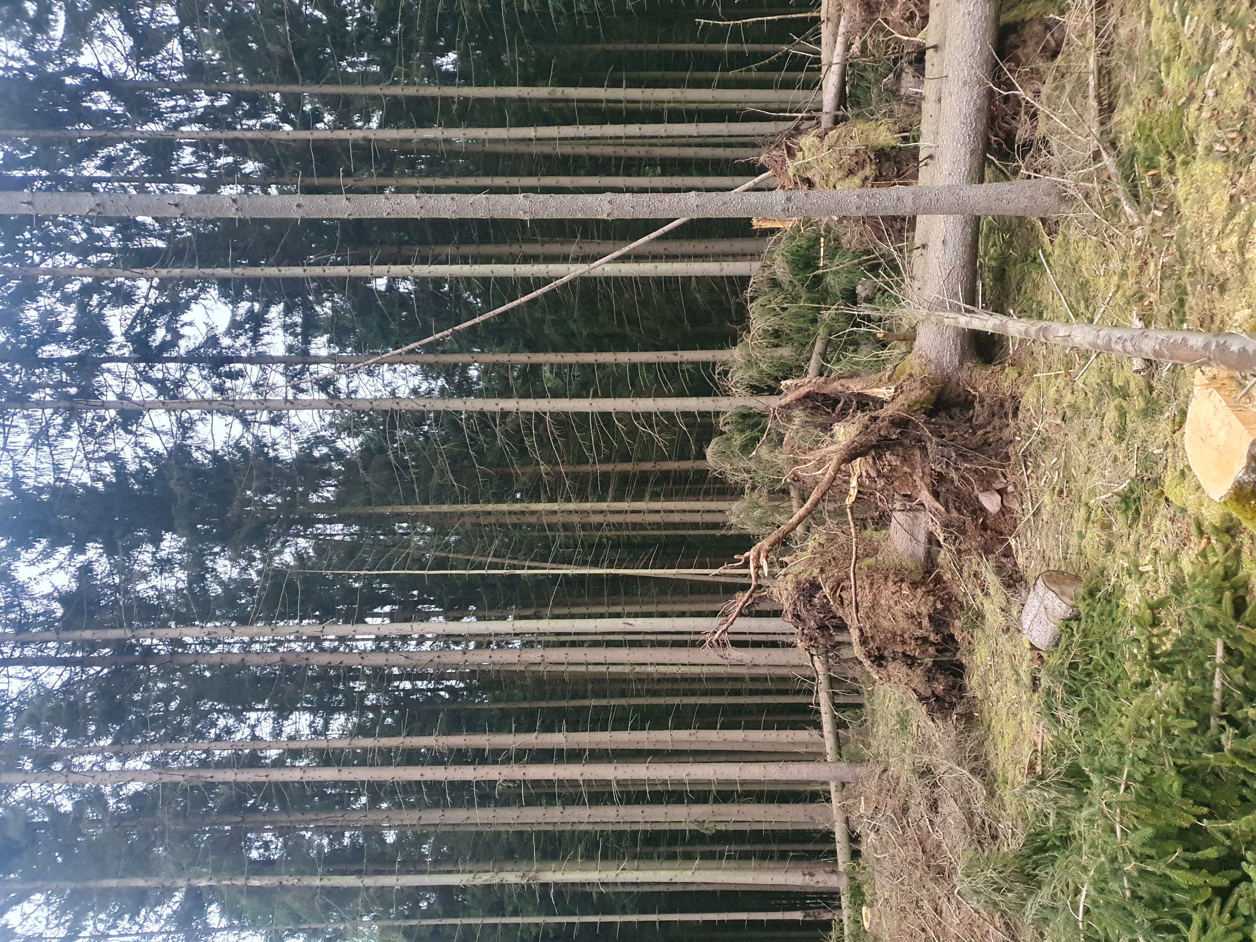 20220317_173448.jpg