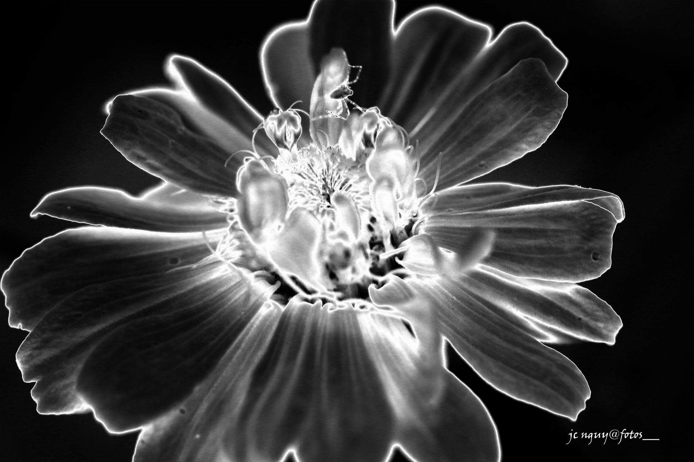 IMG_0265.png