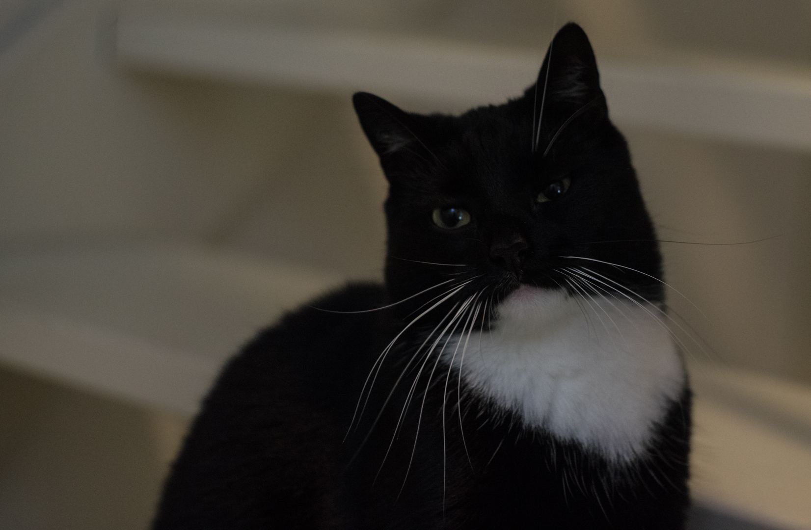 playtime-06975.jpg