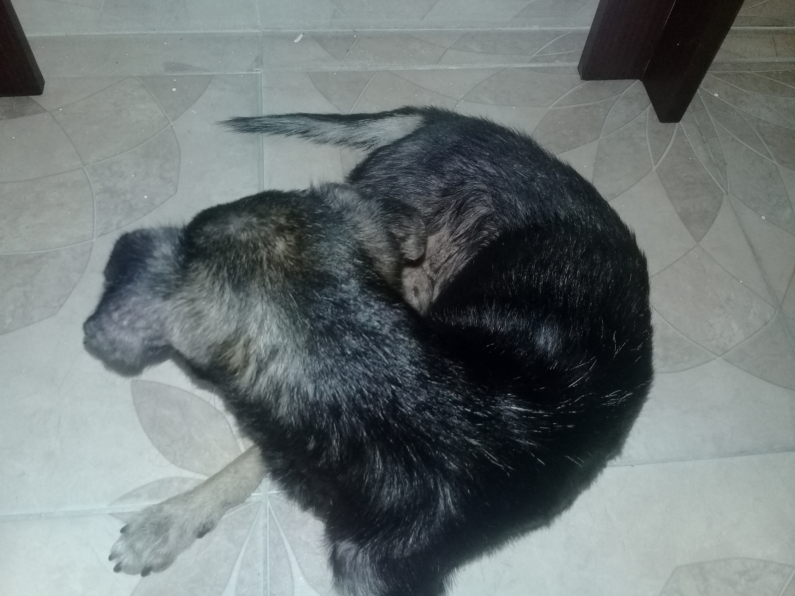 20180717_170157.jpg