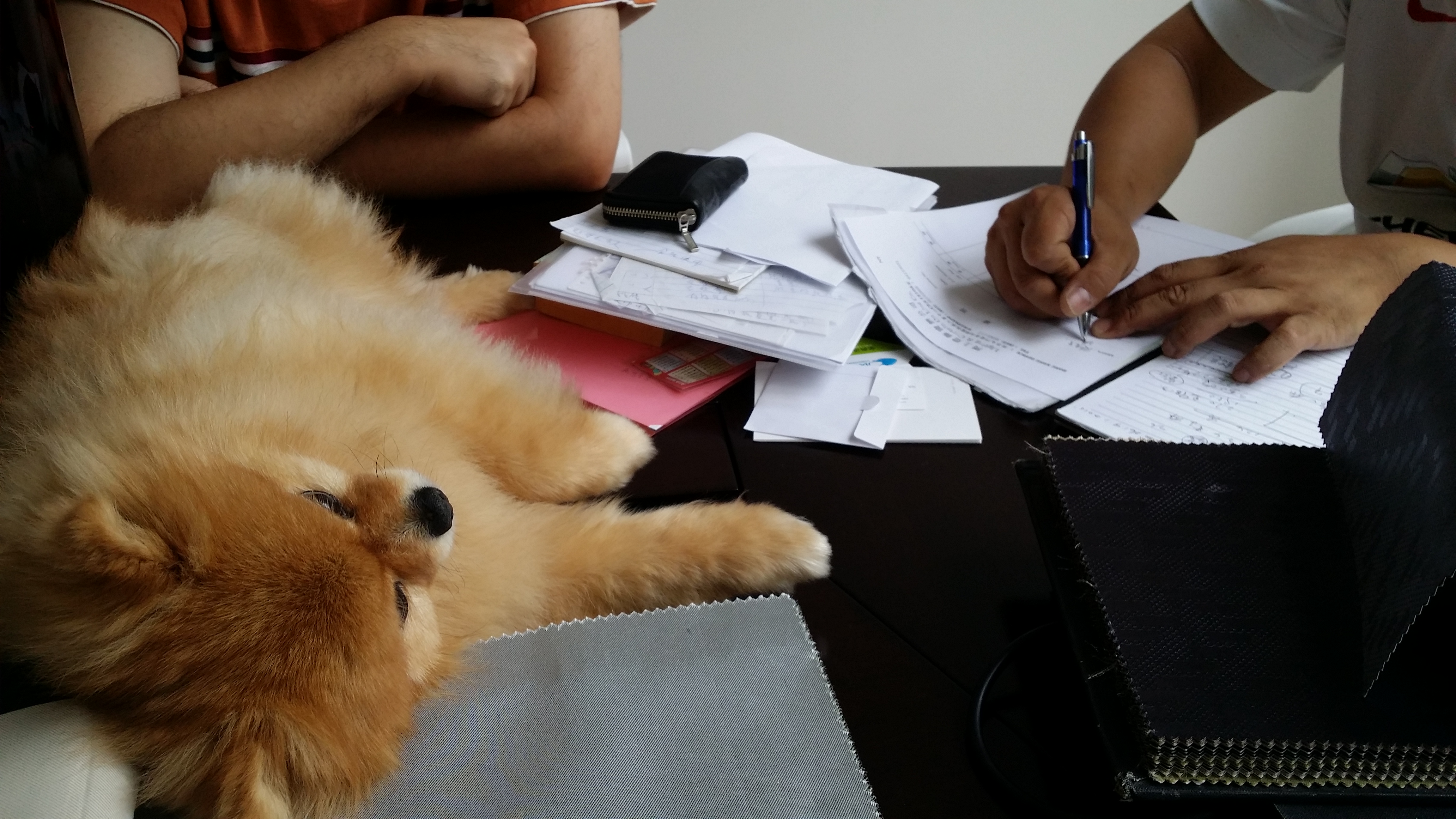 20150926_143958.jpg