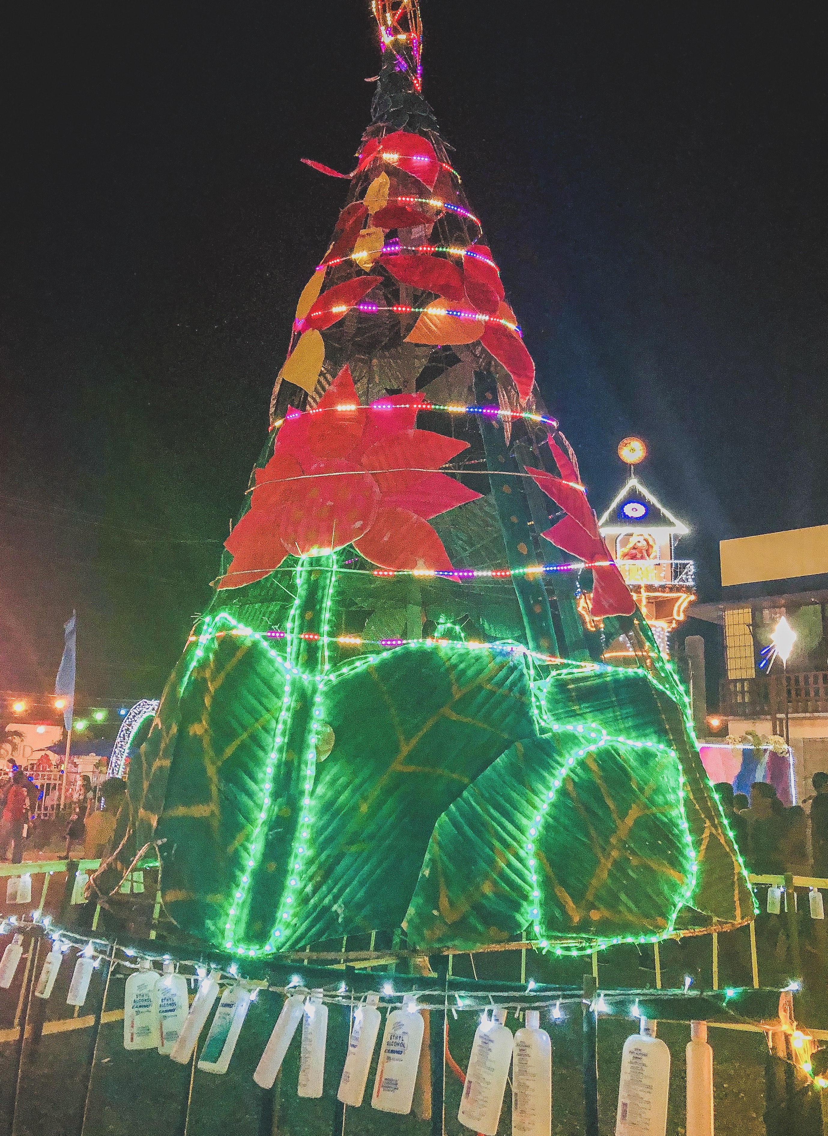 IMG_3063.jpeg