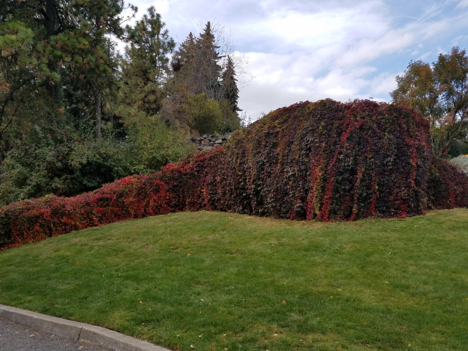 20181001_141947_5.jpg