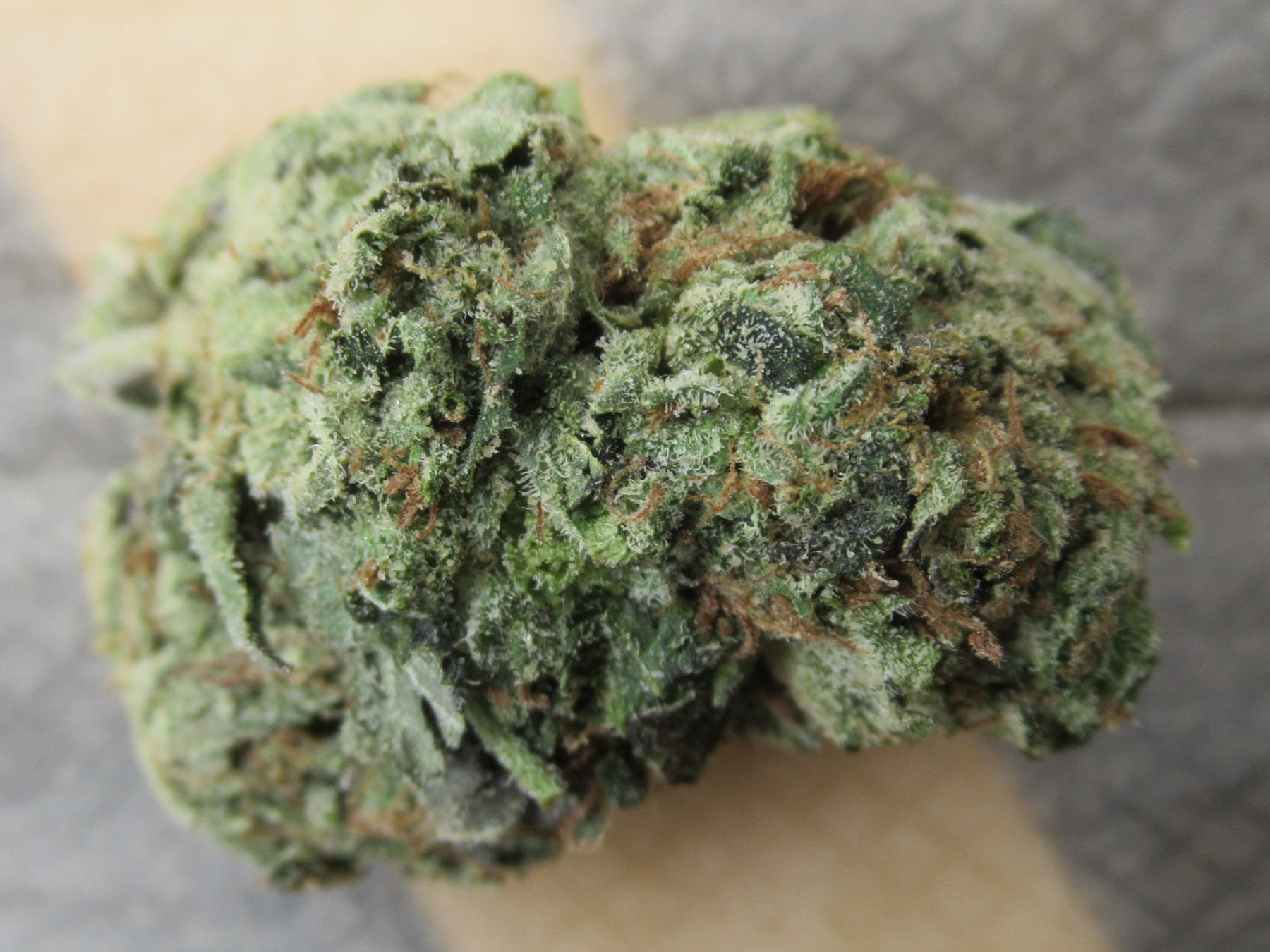 fullnugtoppape.jpg