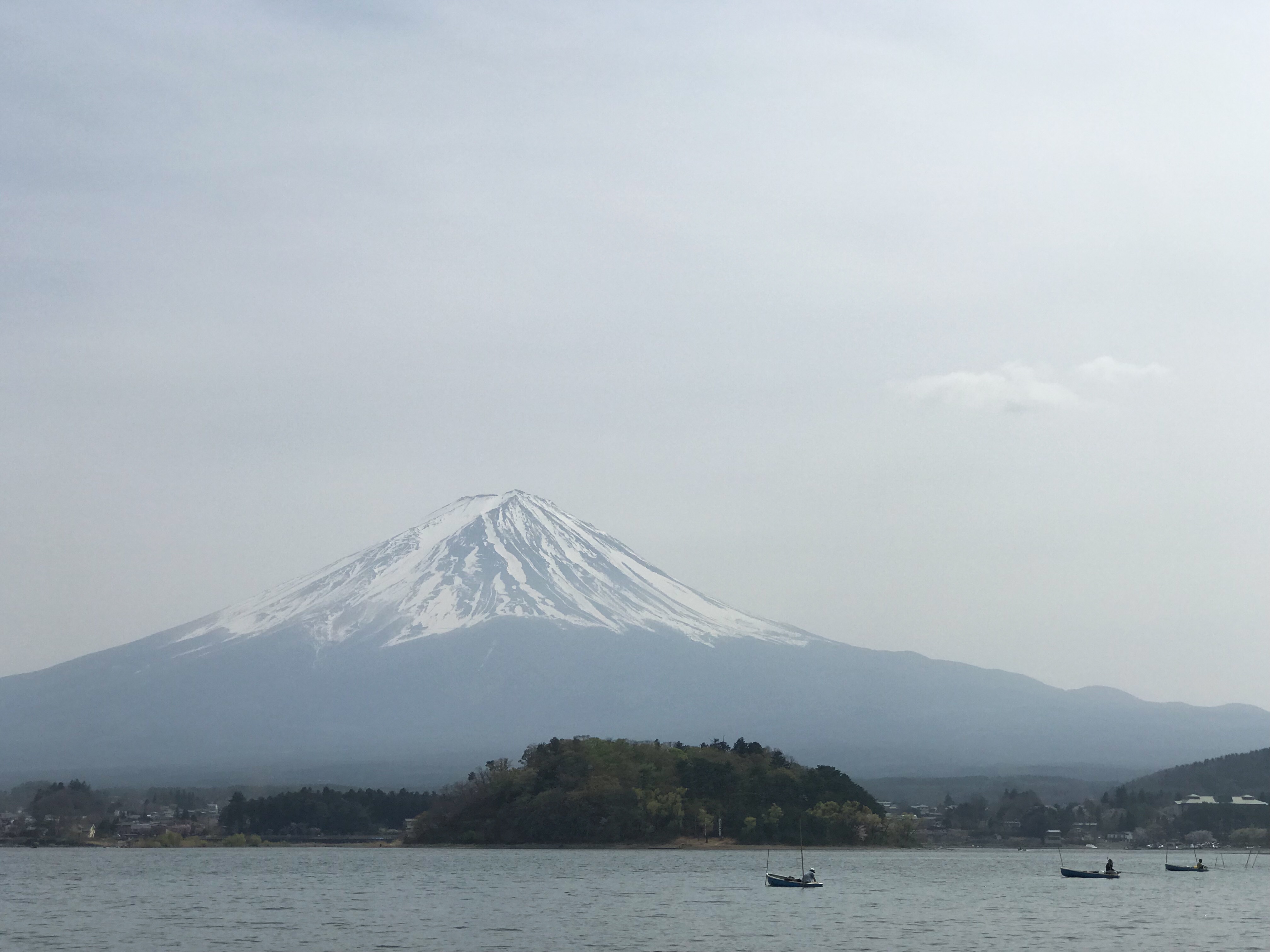 8E305999-FD09-4724-94F0-7A8654154522.jpeg