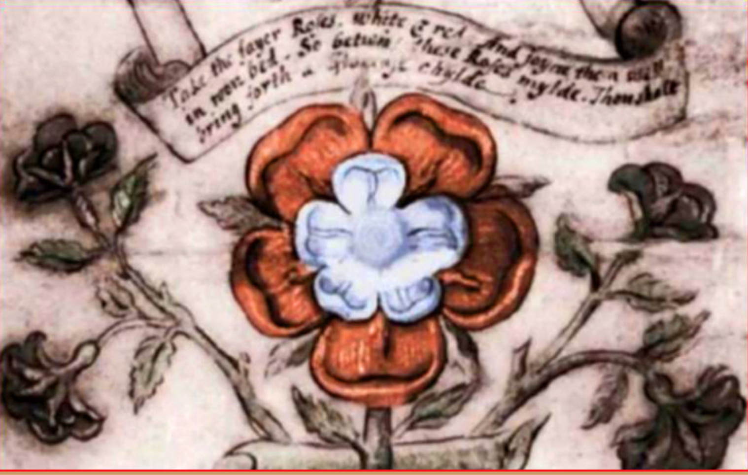 flower.png