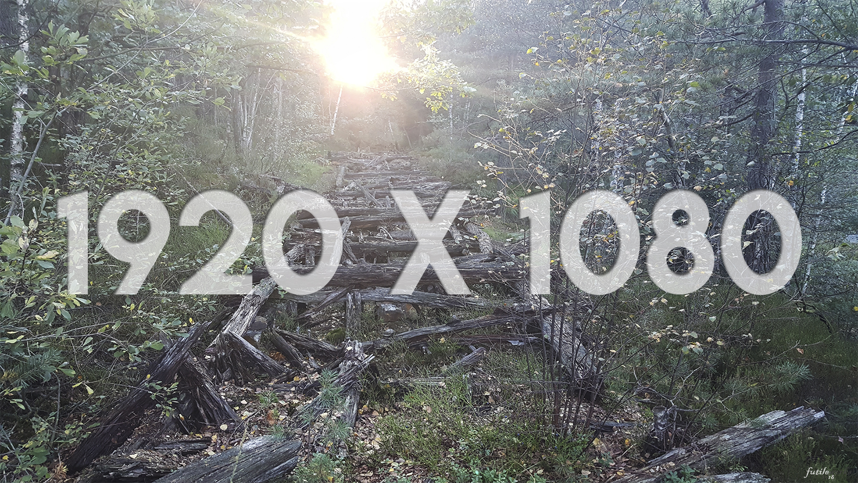 04 1920x1080 Thumbnail Trail of Time.jpg