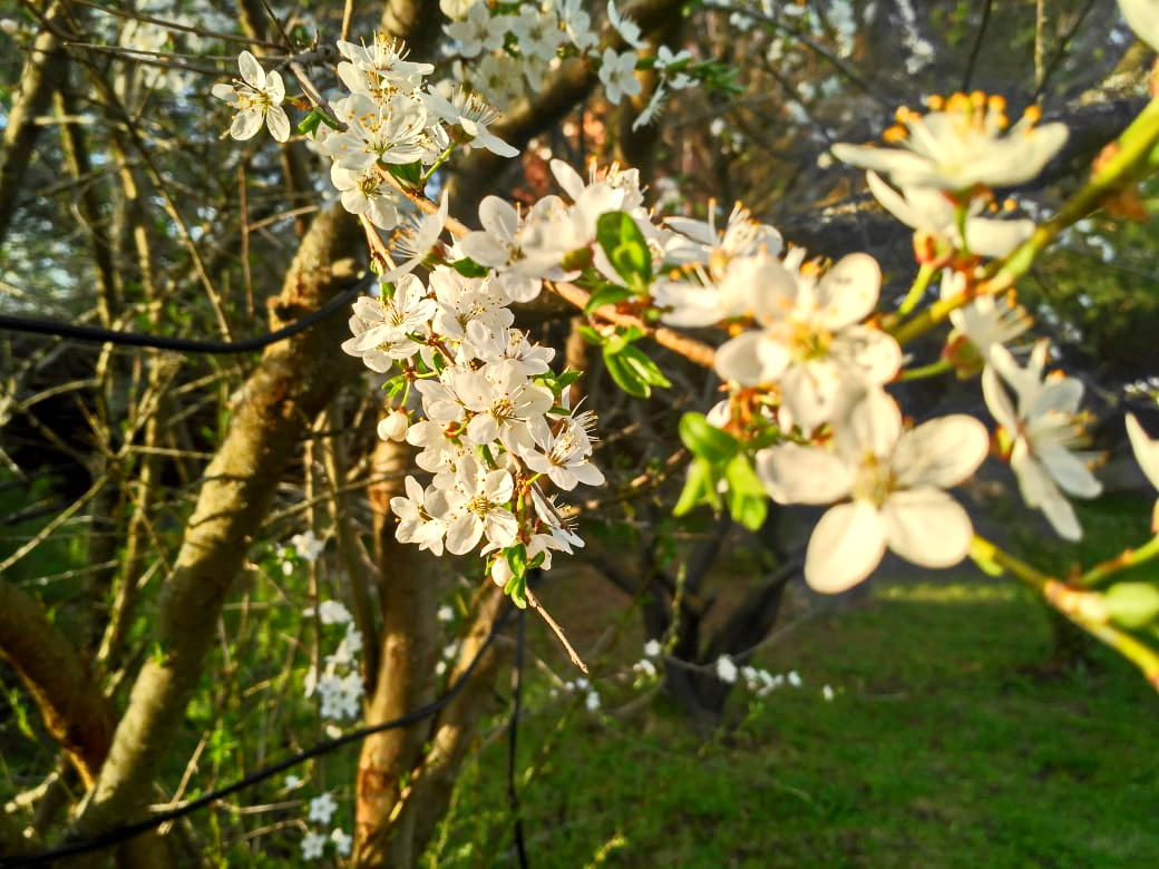 IMG-20190506-WA0010.jpg