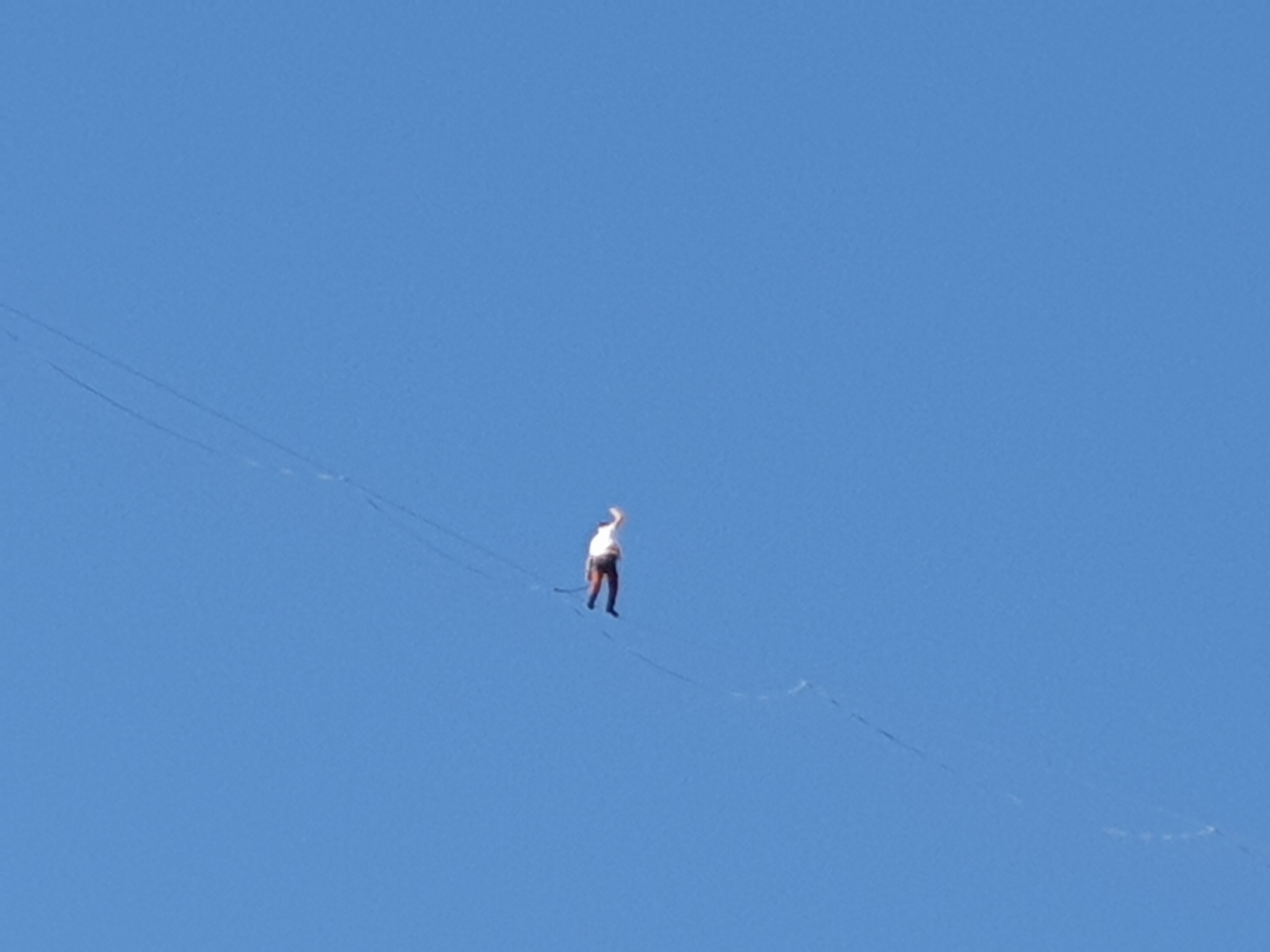 20261001_160519.jpg