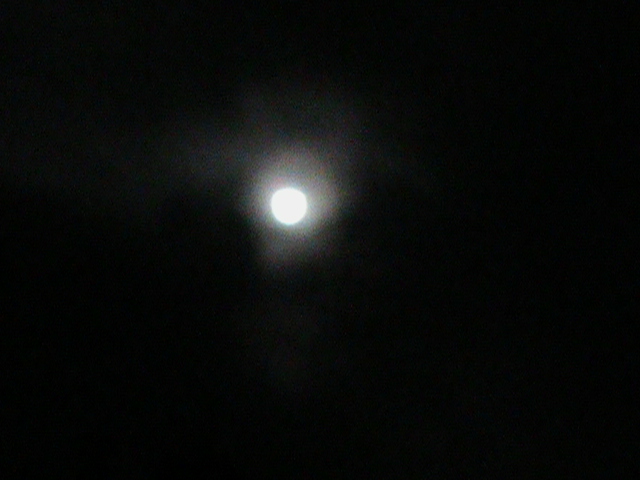 DSC00560.JPG