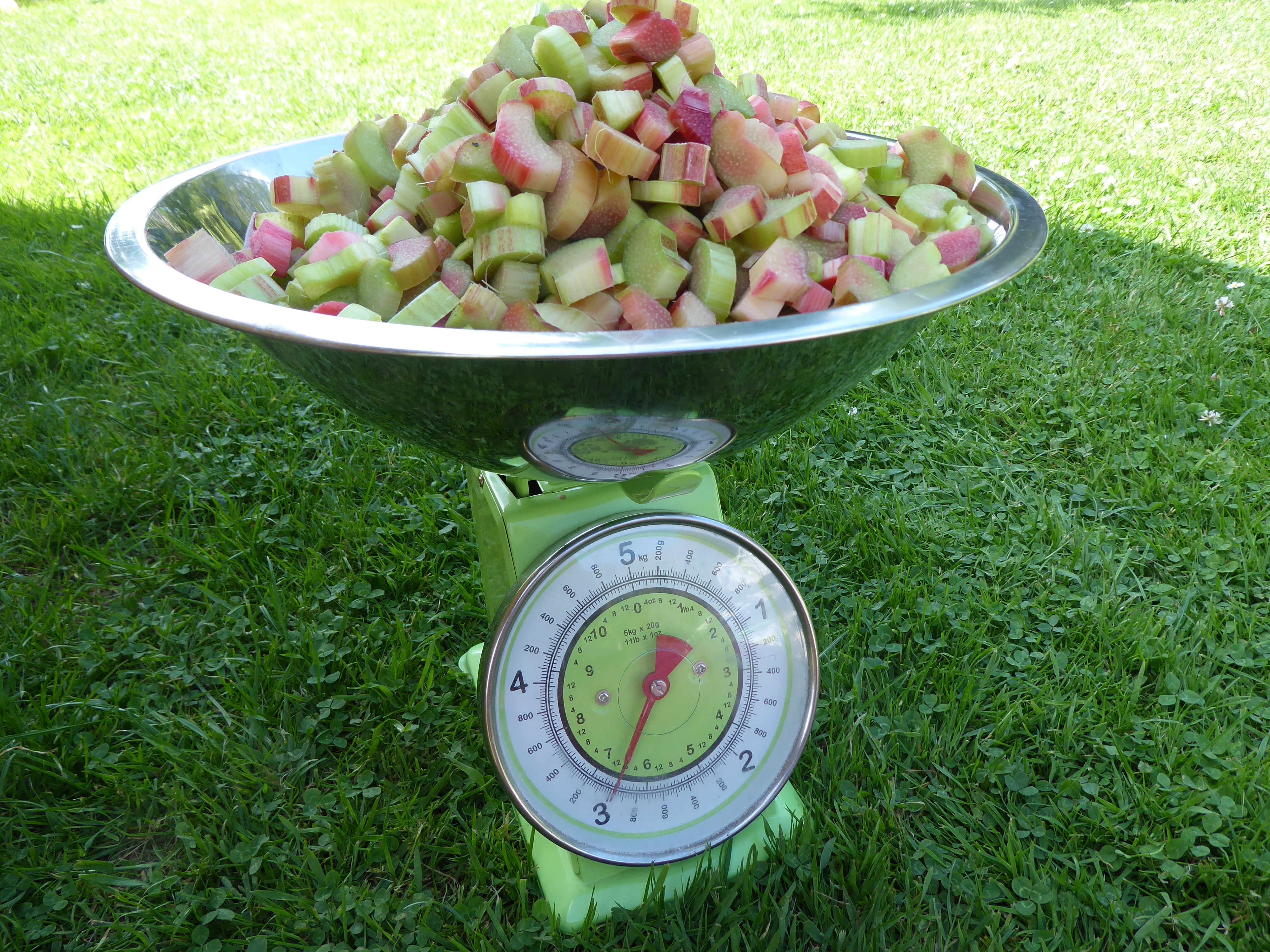 P1020458.JPG