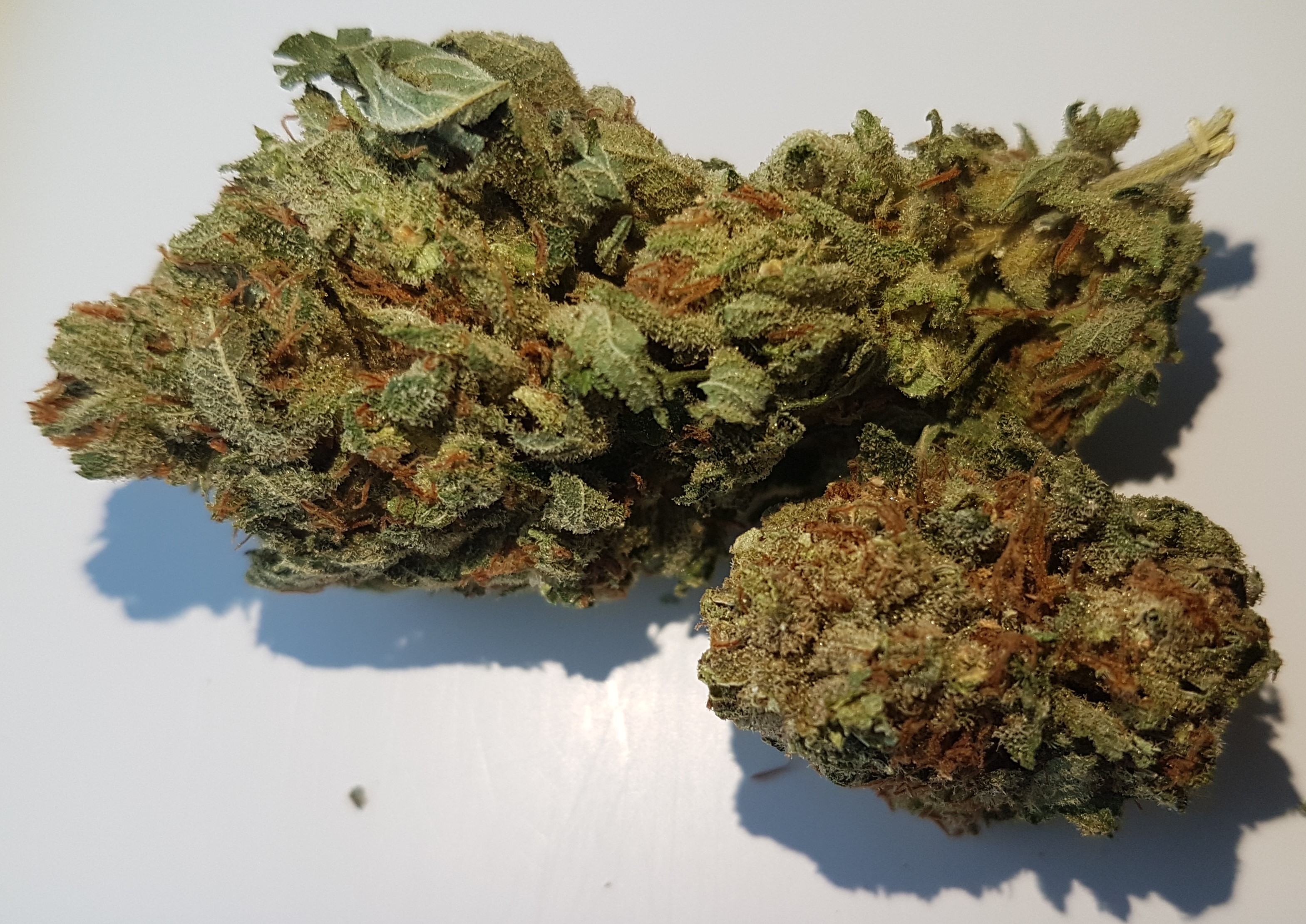 Welcome to my Strain Review of Lemon Skunk As the story goes for this strai...