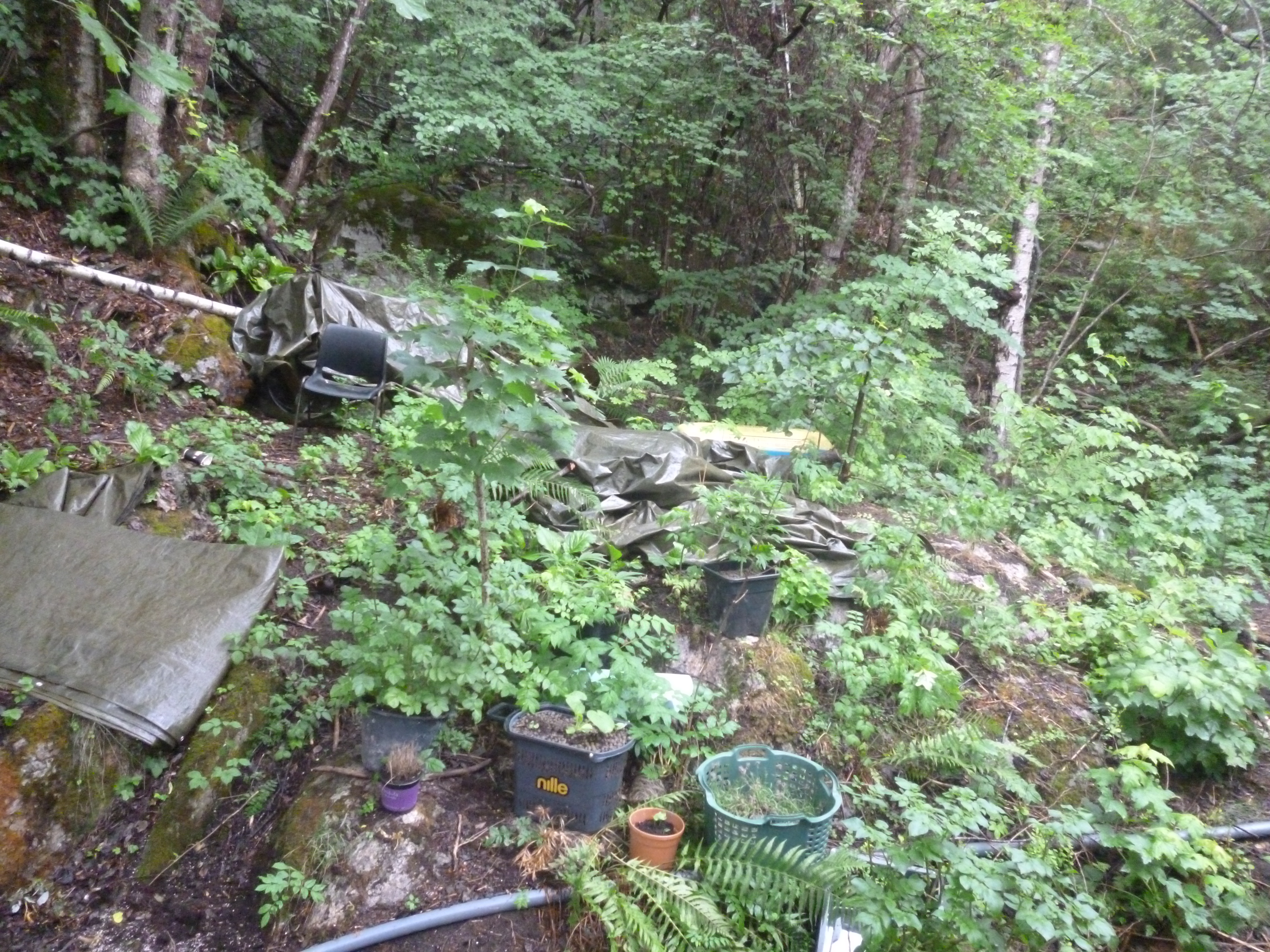 P1040144.JPG