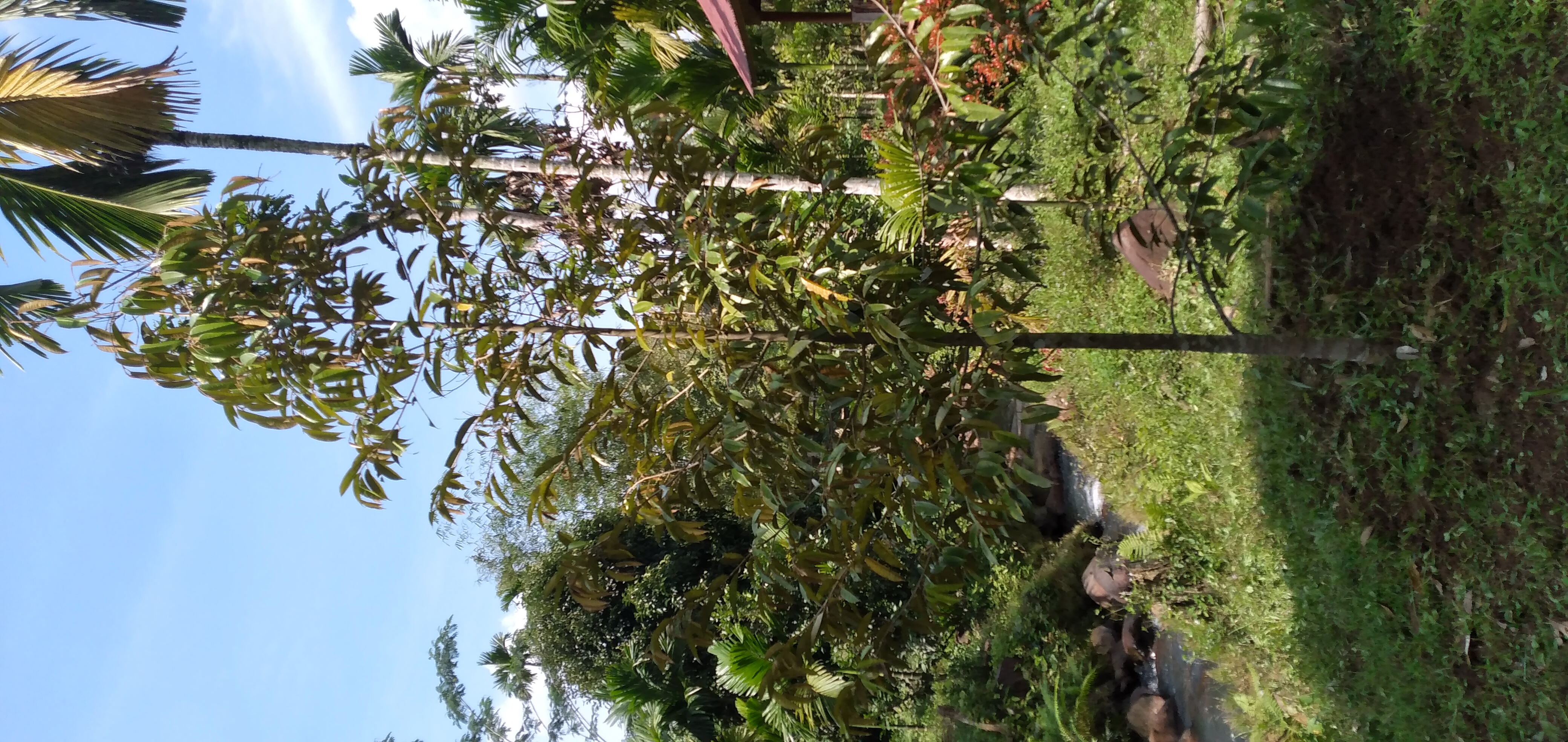 20230101_113706.jpg