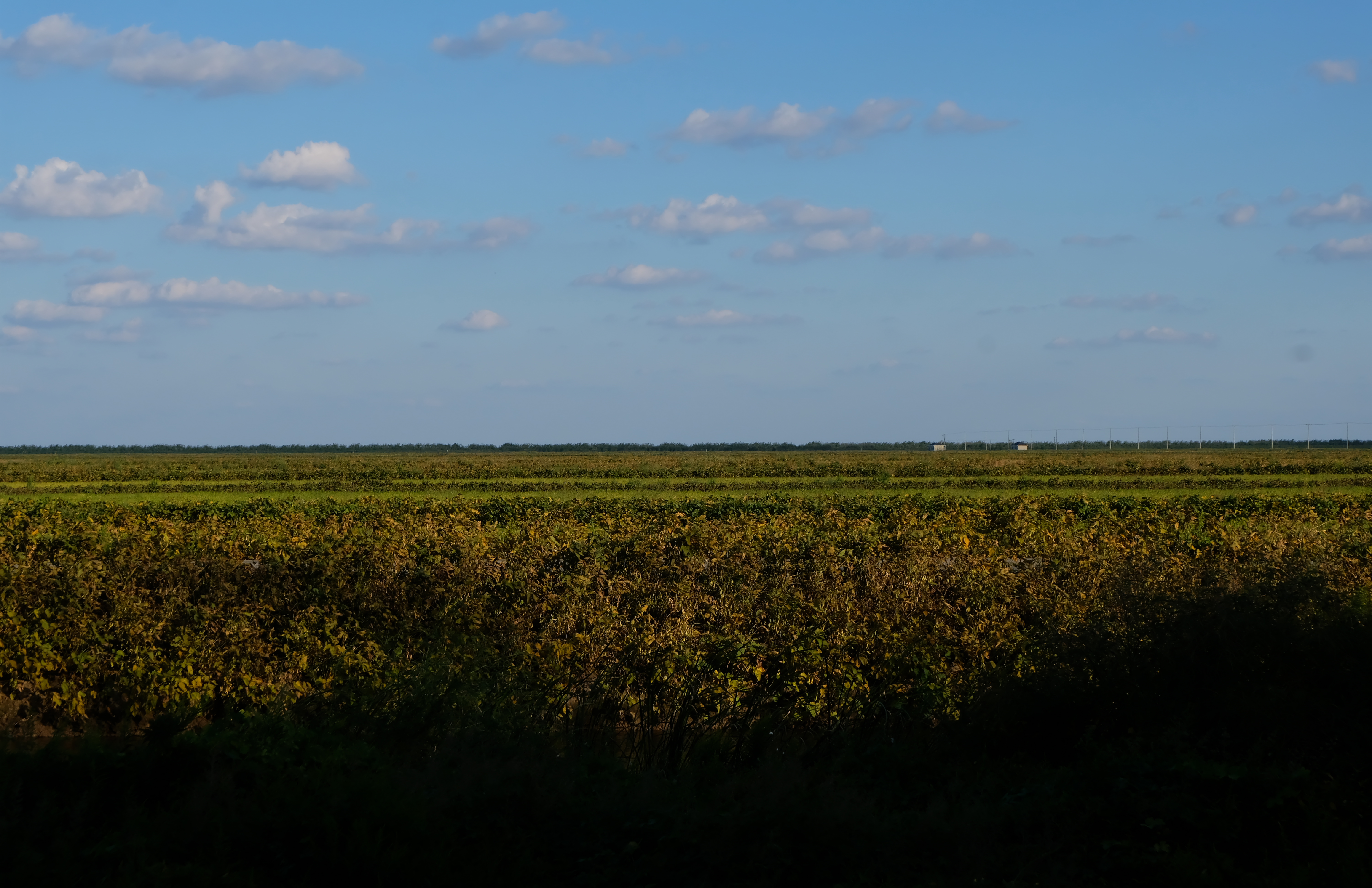 DSCF0901.jpg