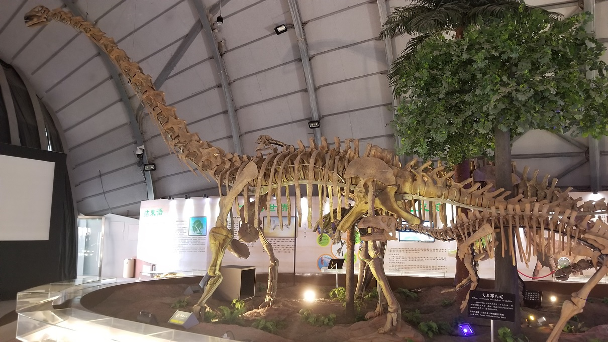辽宁古生物博物馆：辽宁恐龙特展 / Dinosaur