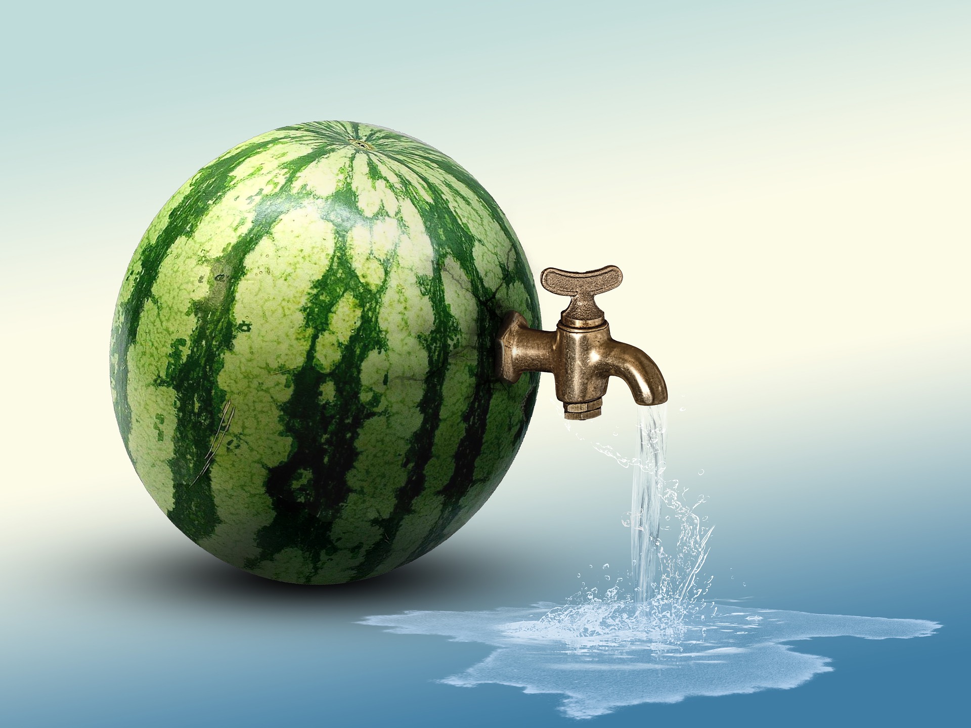 melon-3469415_1920.jpg