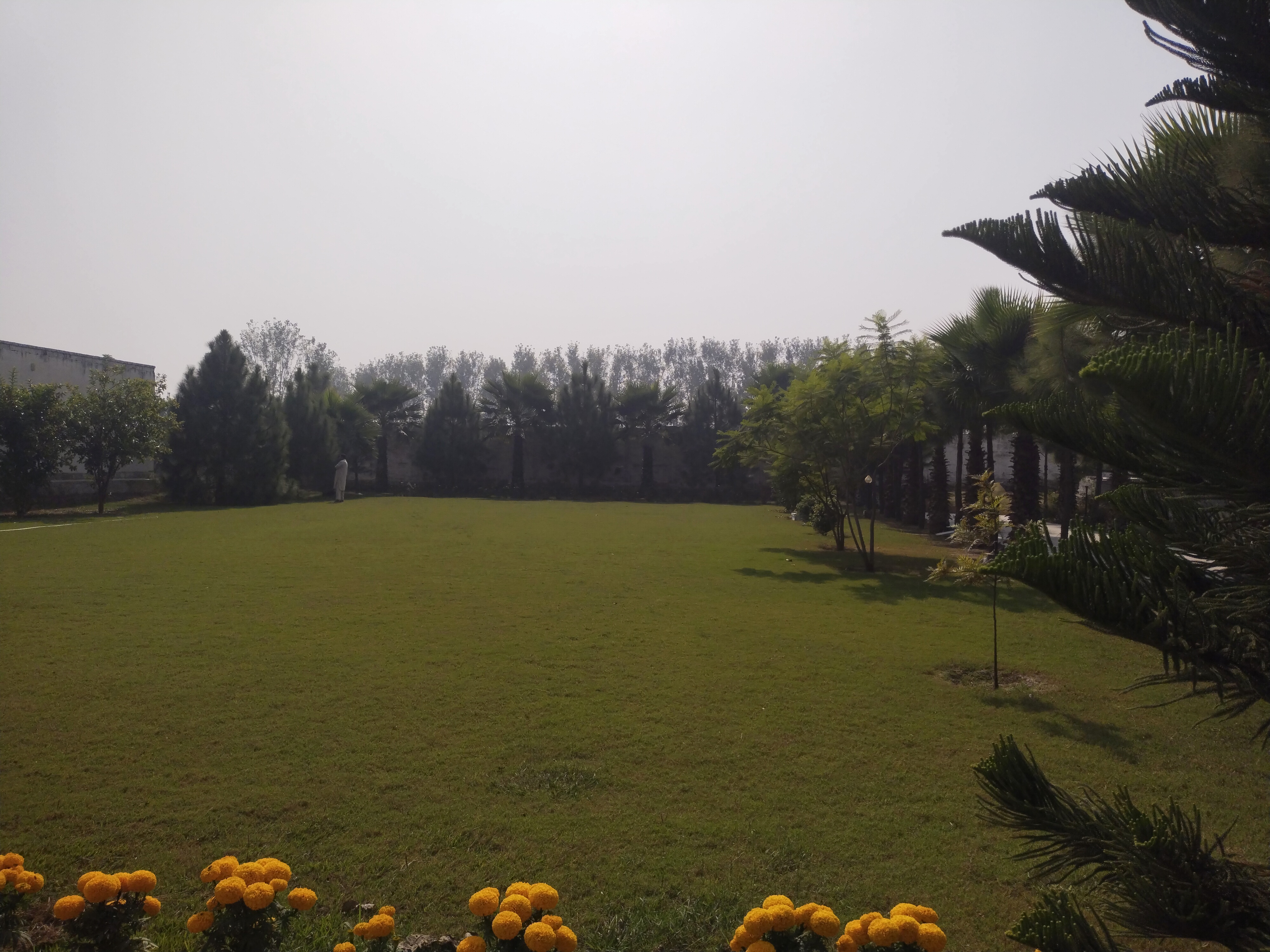 IMG_20251102_114013.jpg