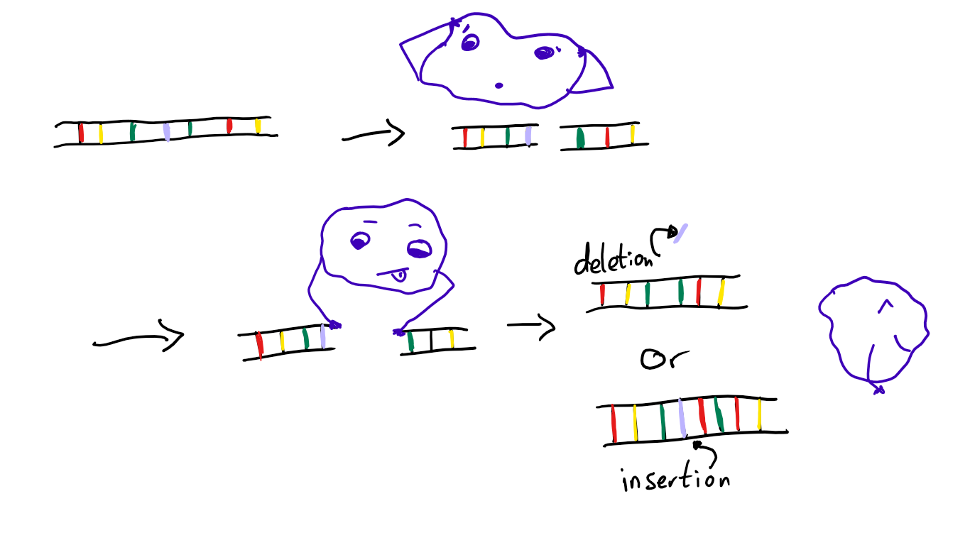 Sketchindel.png