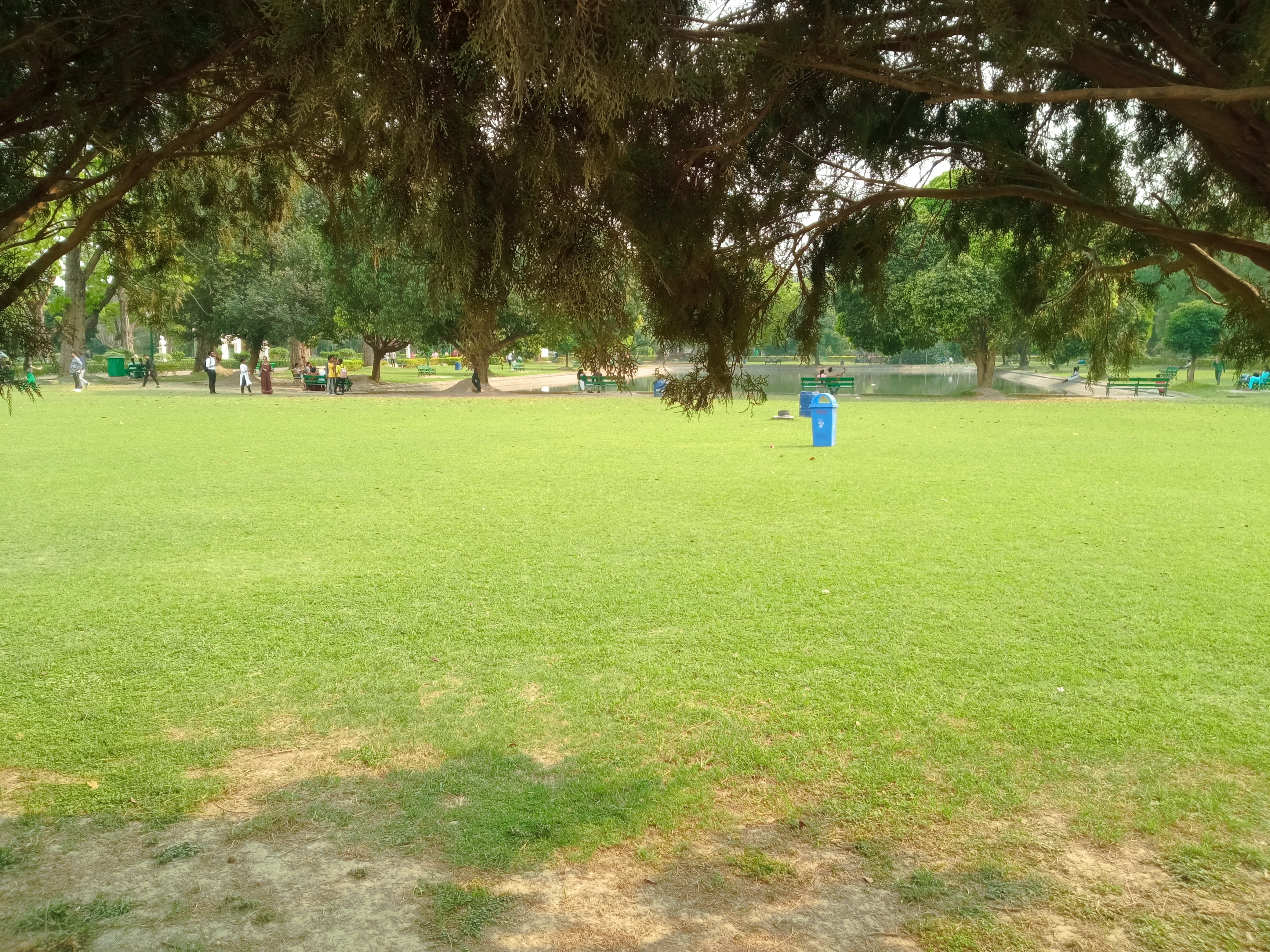 IMG_20230326_145228.jpg