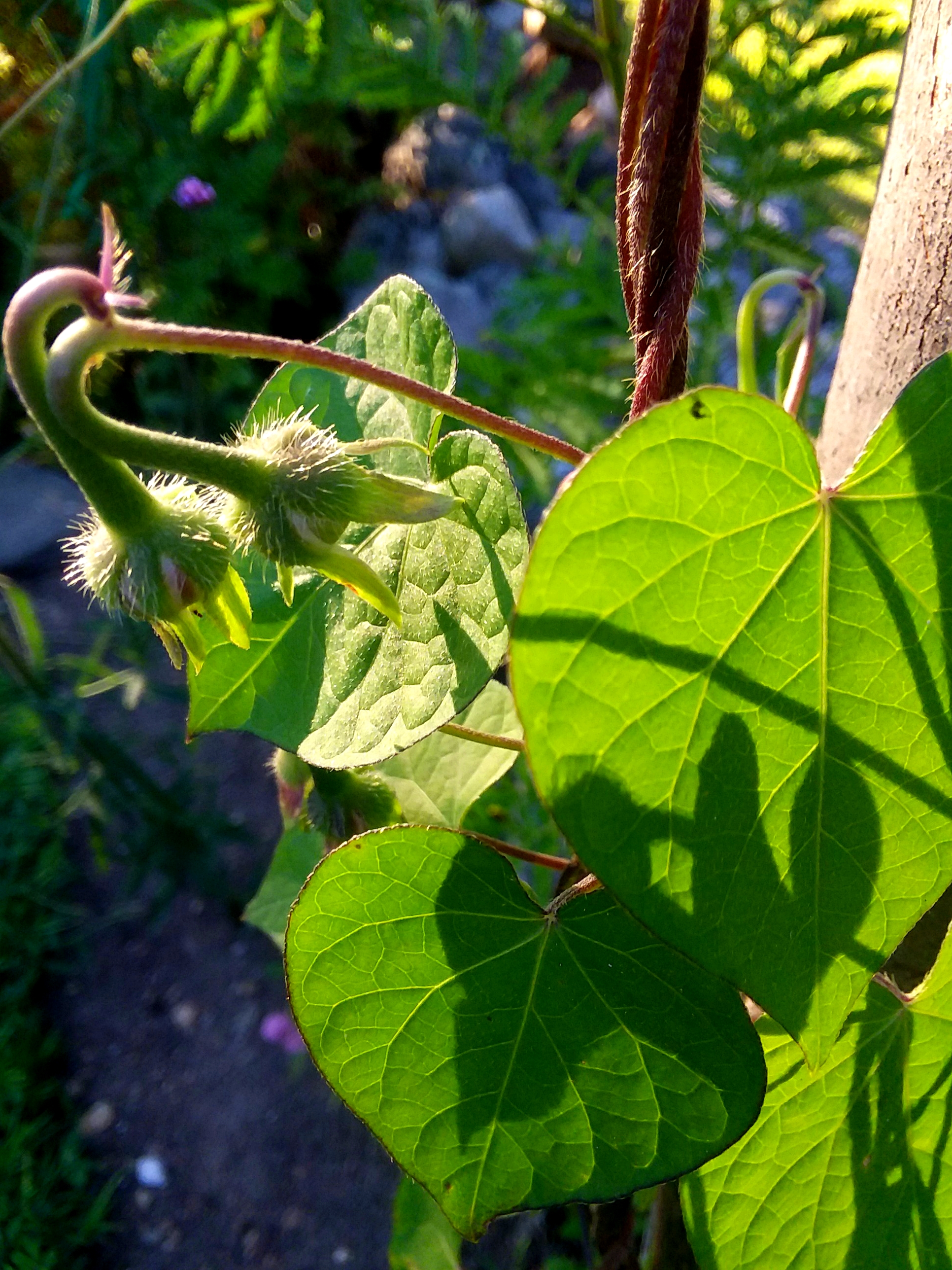 20190912_080620.jpg