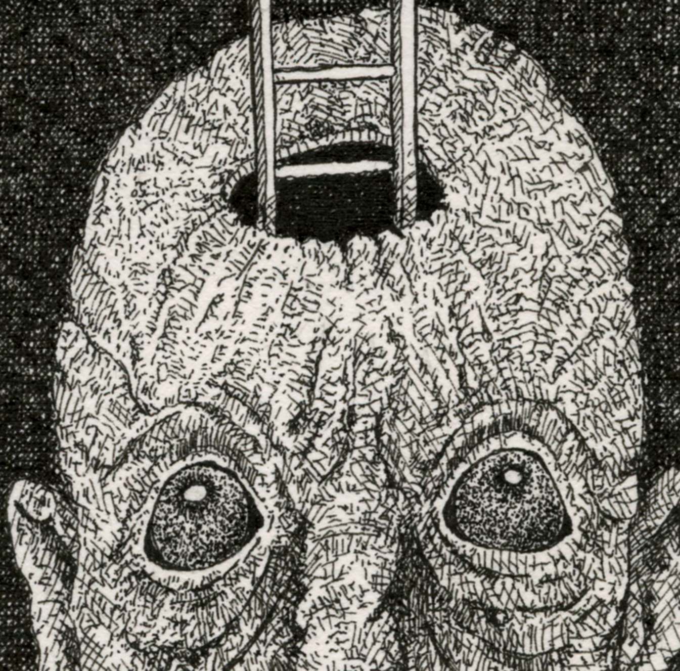 Mind under matter_detail1.jpg