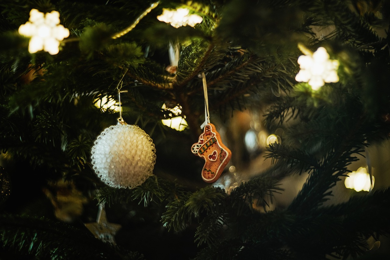 merry-christmas-5860209_1280 (1).jpg