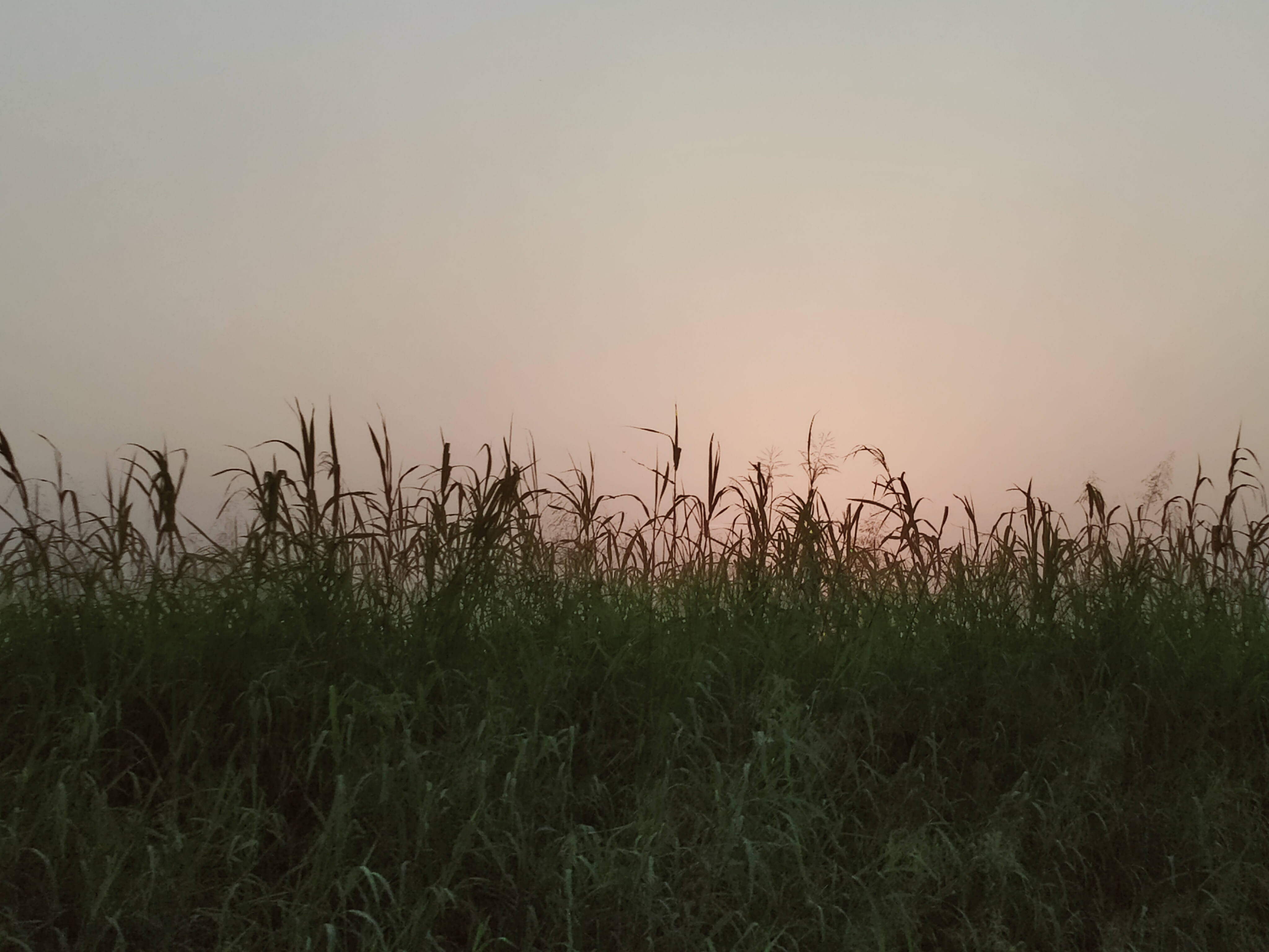 IMG20210818184153.jpg