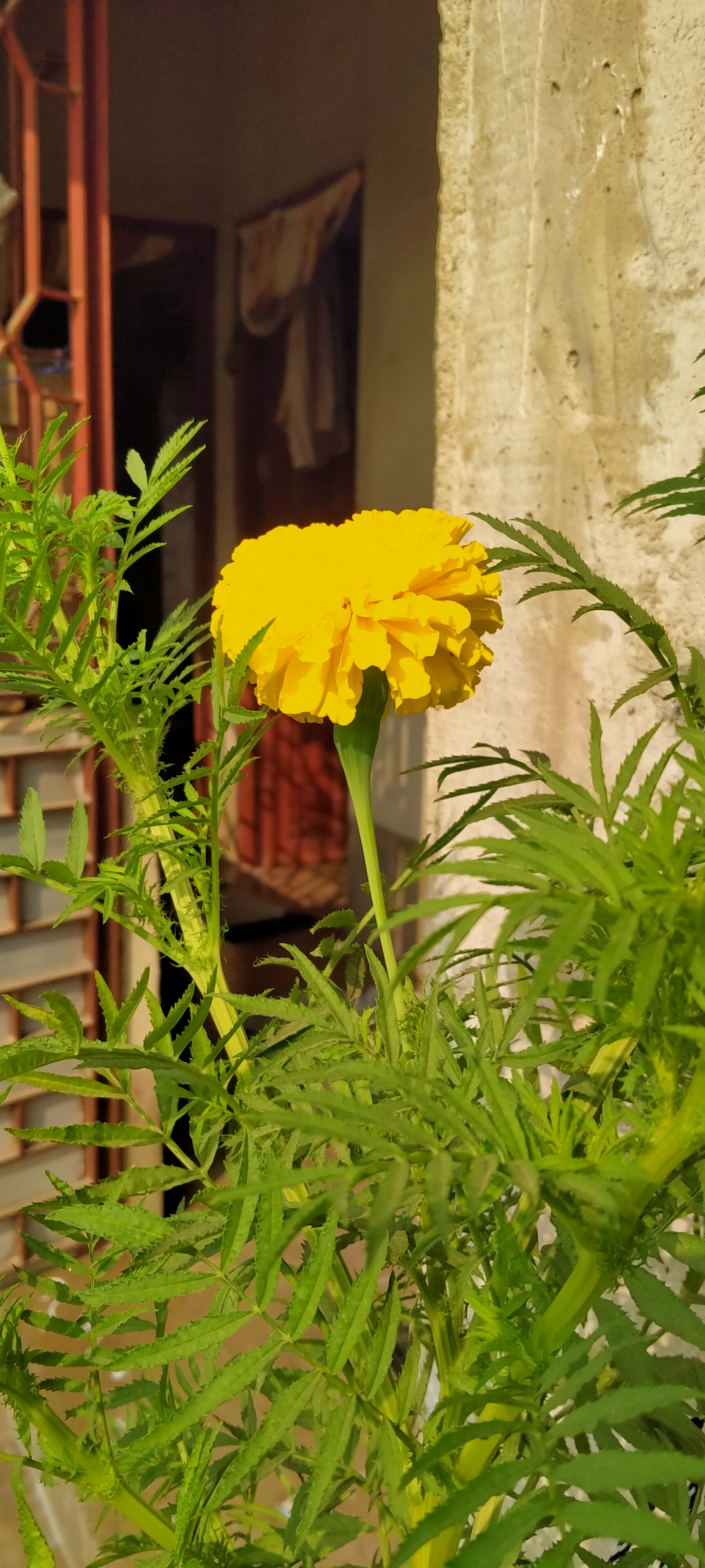 IMG20221207085636.jpg