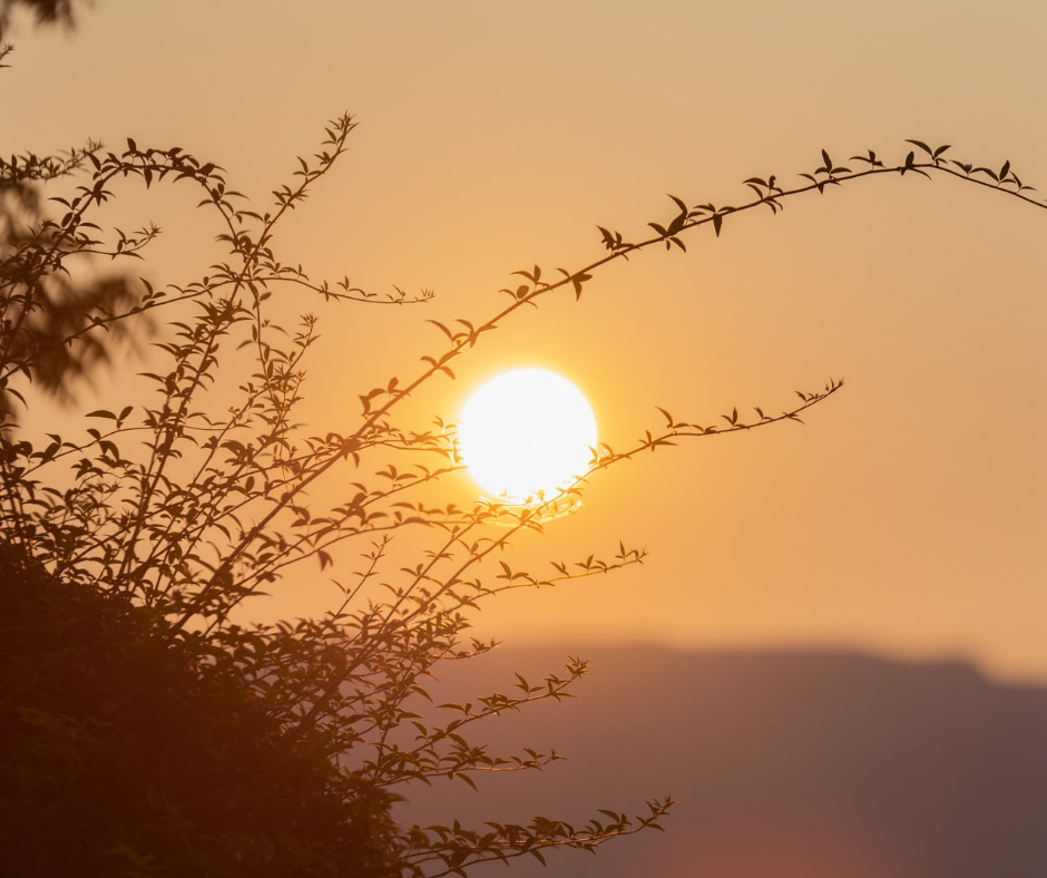 20260605_184112_٠٠٠٠.png