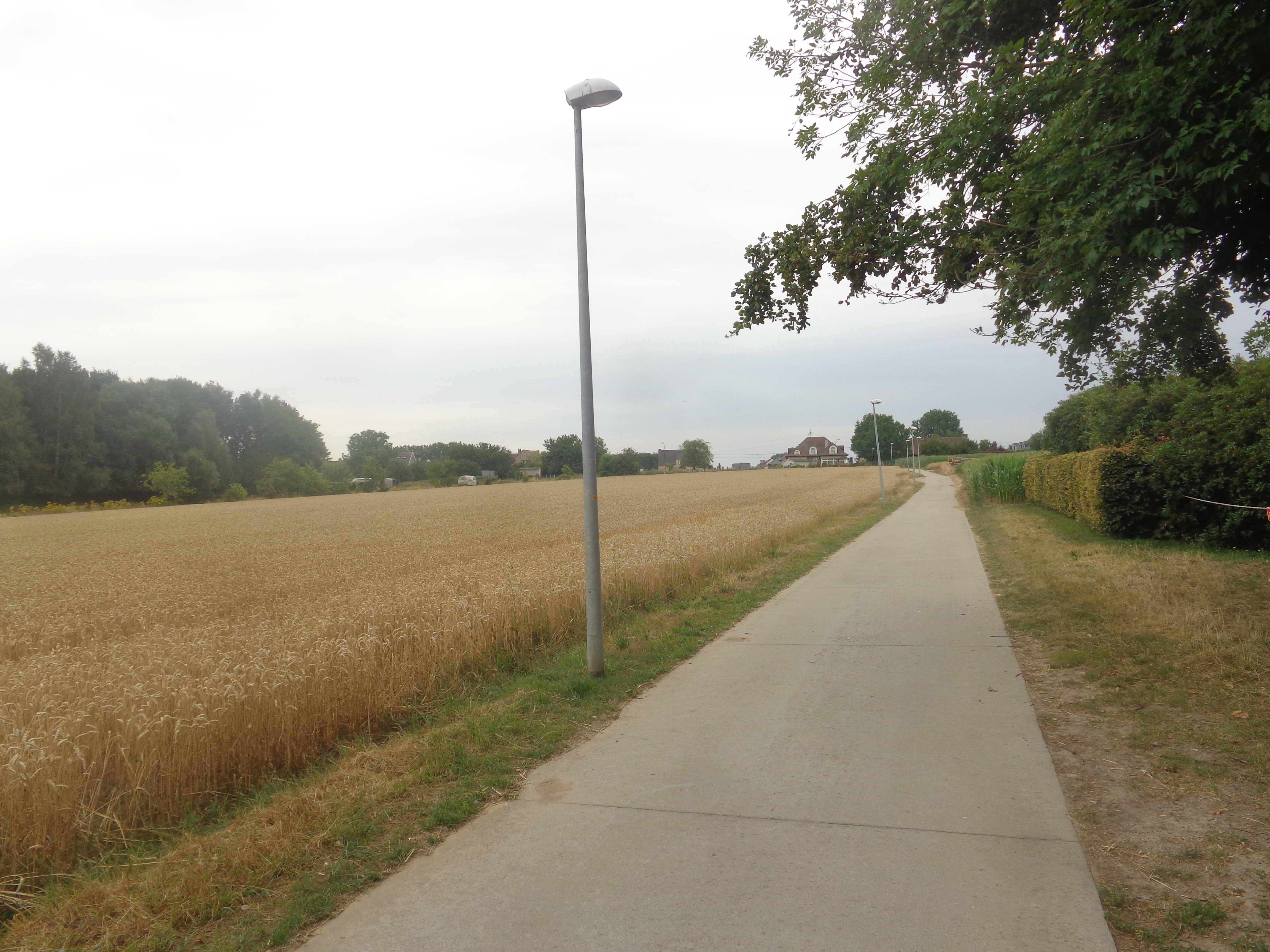 one day off in Gent , saved by the cops ... i NEVER thought i would say this