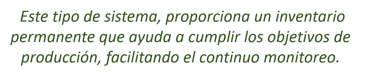 este tipo de sistema.png