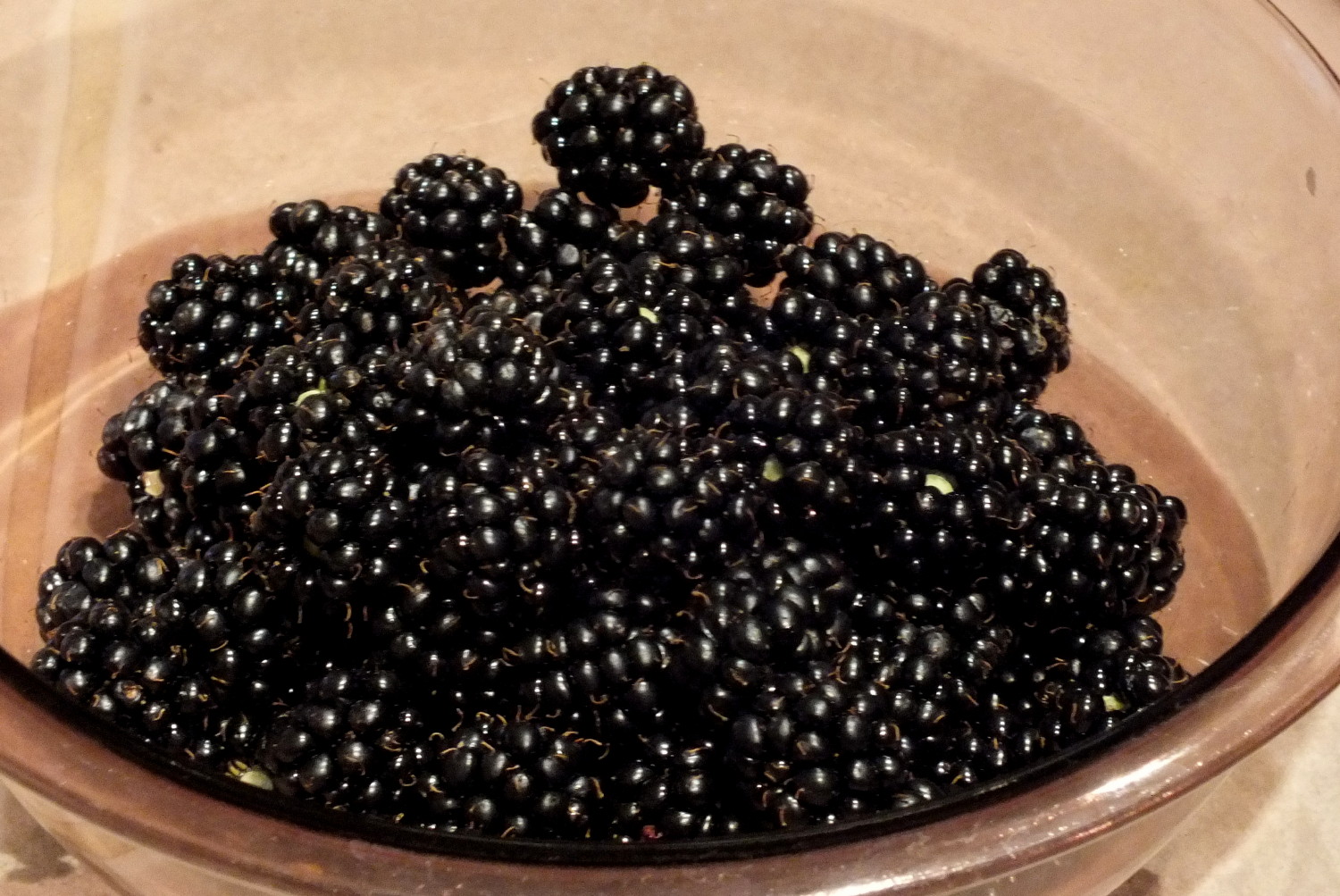 1087-BlackberryBowl.jpg